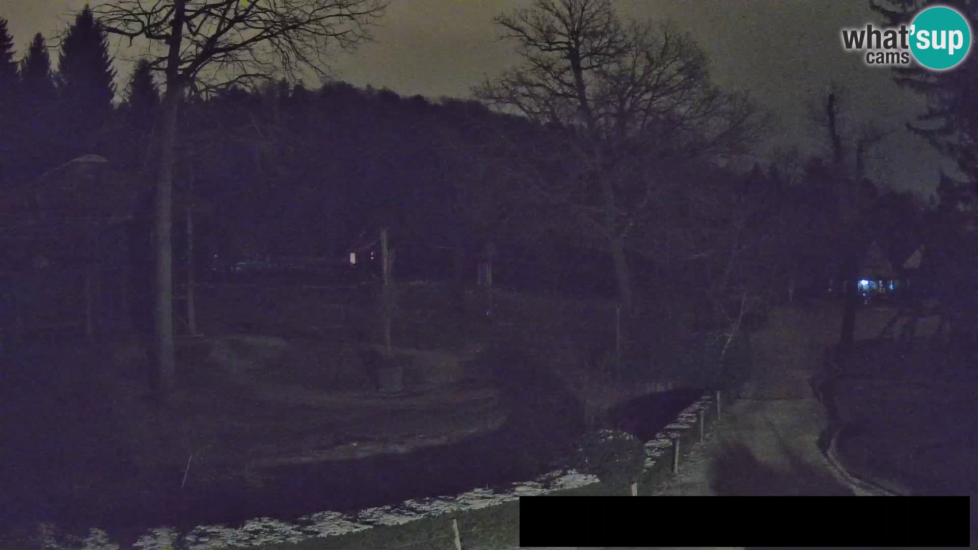 Webcam Zoo Ljubljana – Giraffes