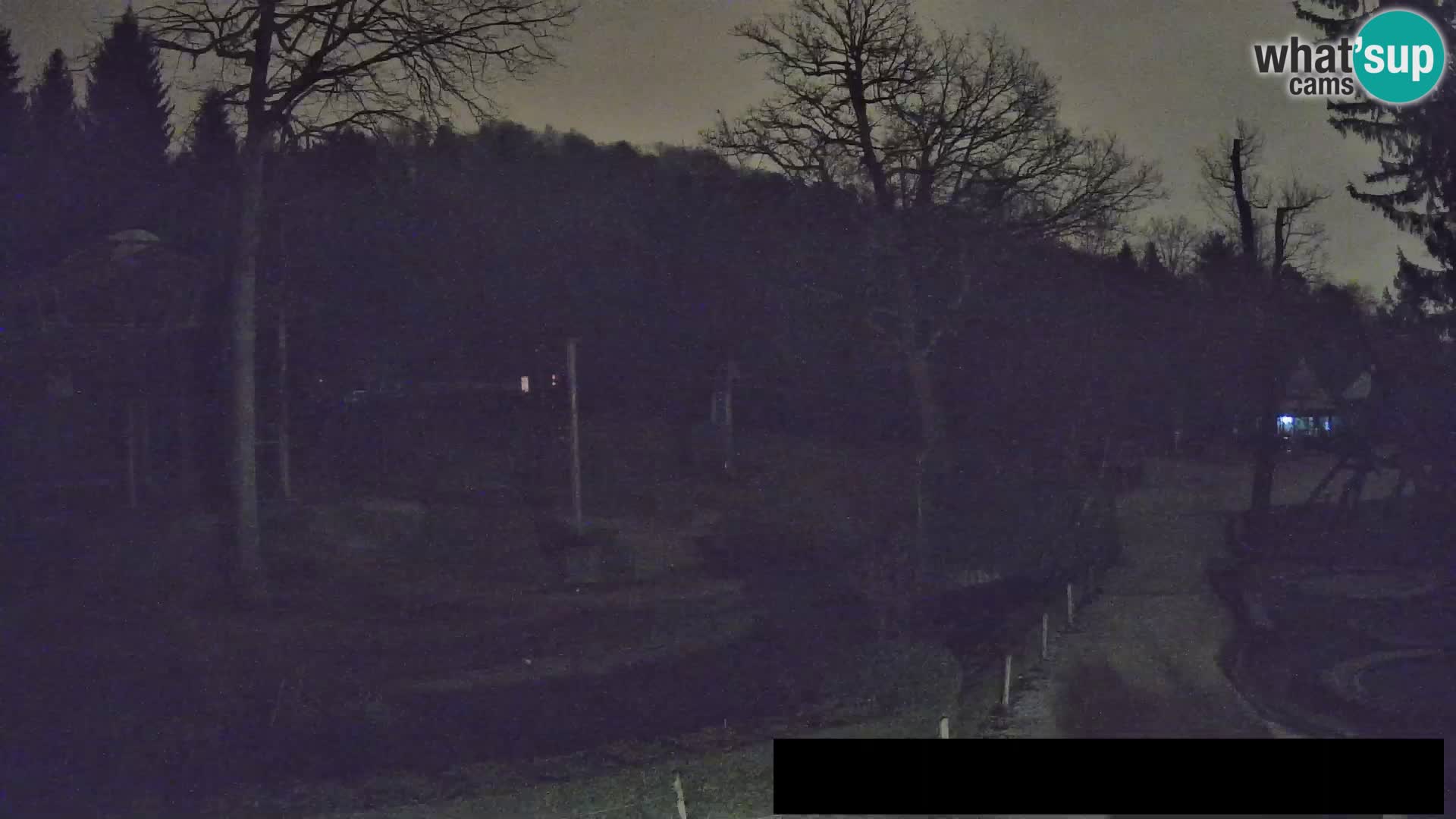 Webcam Zoo Ljubljana – Giraffes