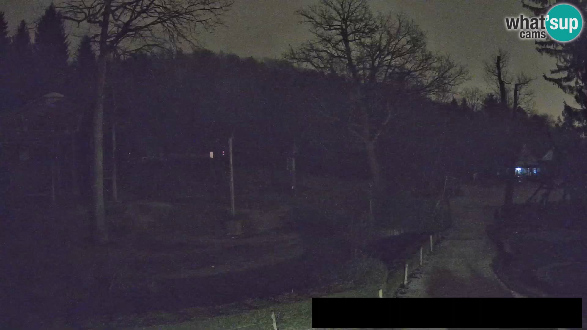 Webcam Zoo Ljubljana – Giraffes