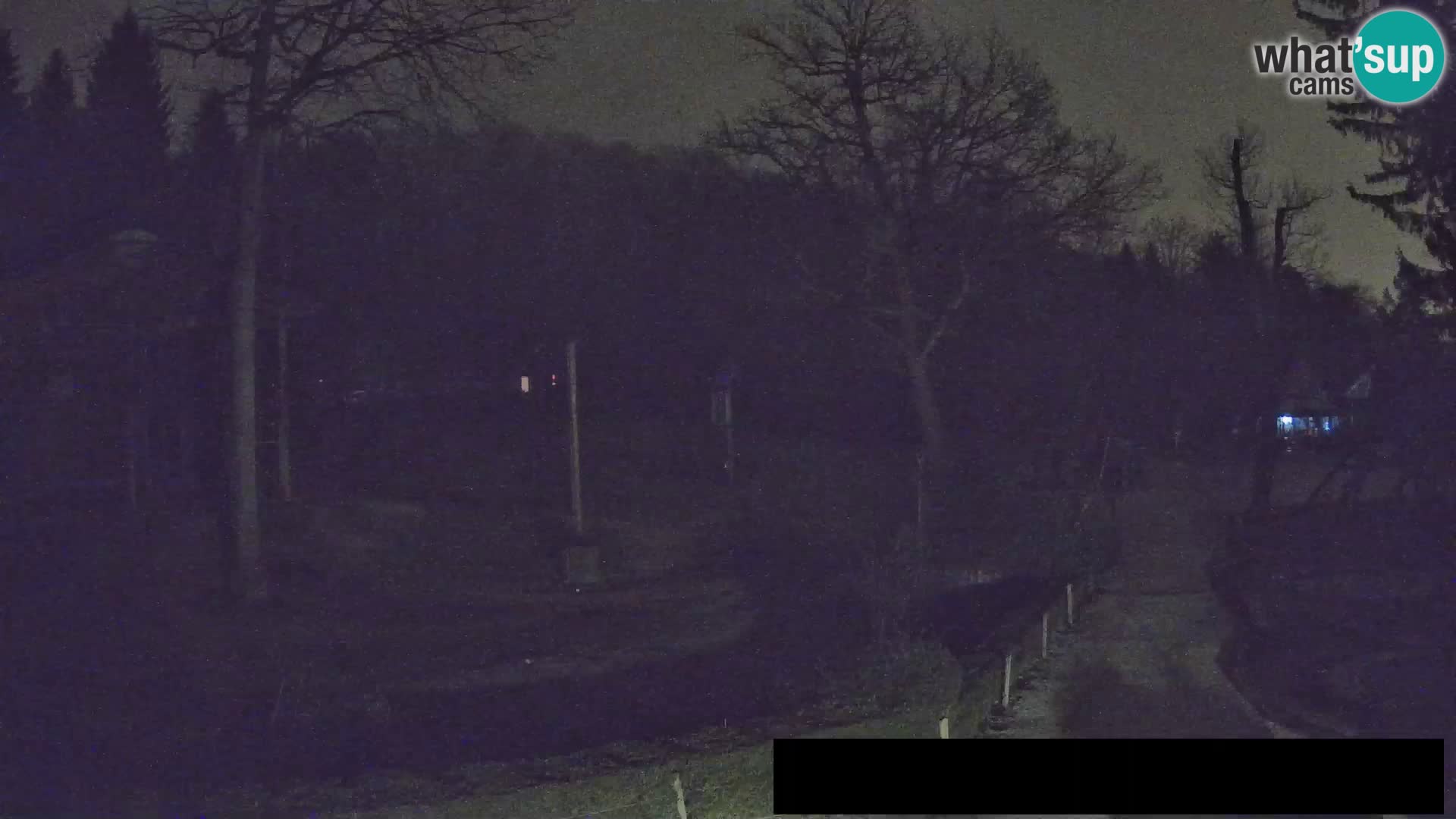 Webcam Zoo Ljubljana – Giraffes