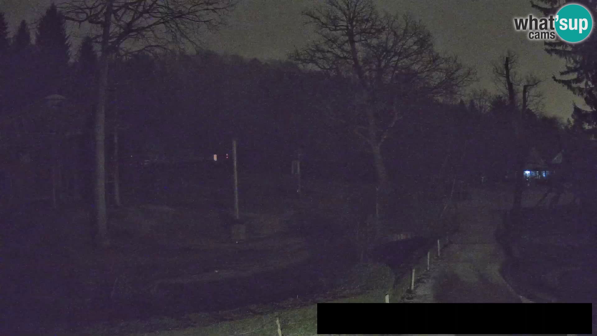 Webcam Zoo Ljubljana – Giraffes