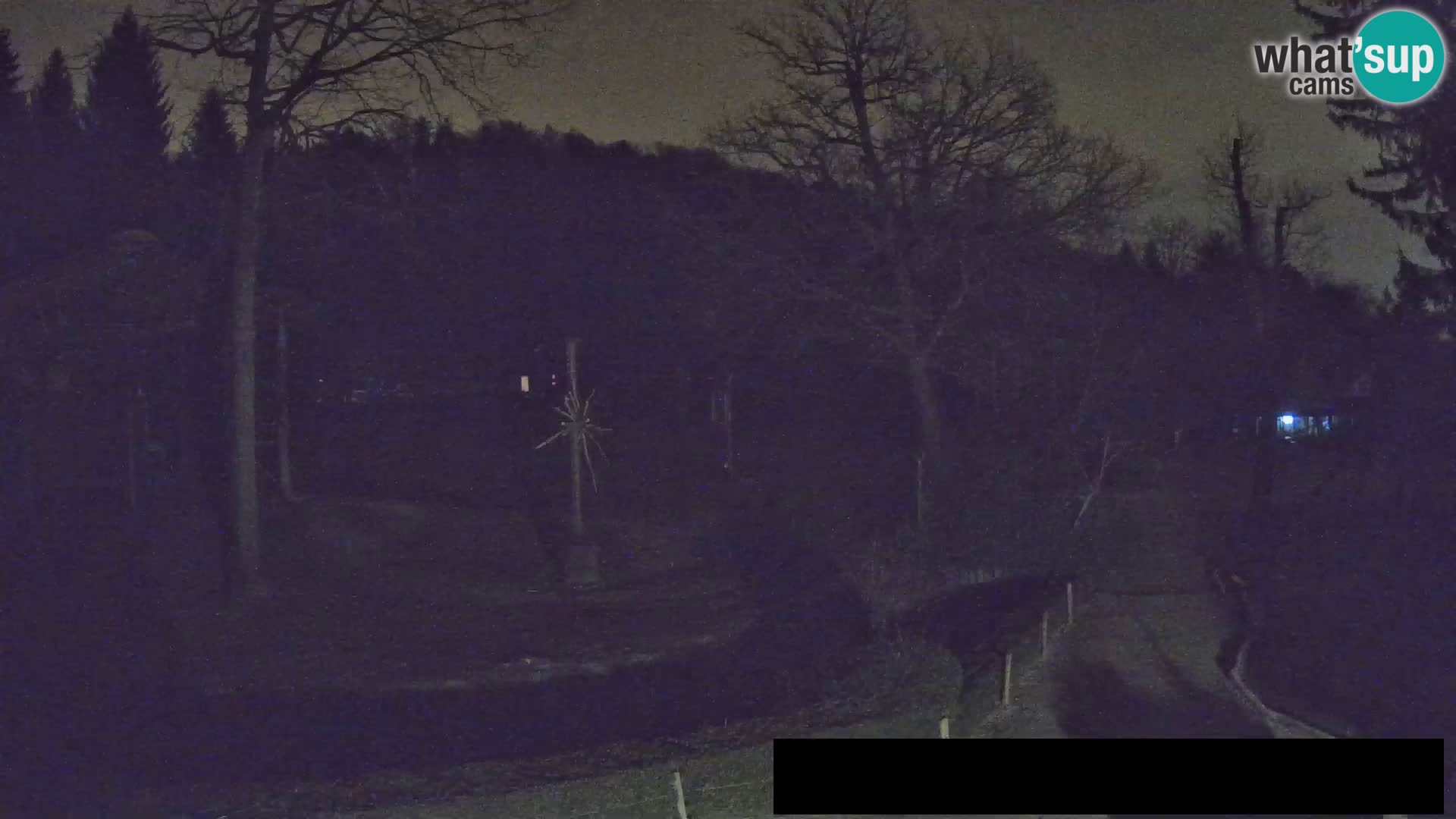 Webcam Zoo Ljubljana – Giraffes