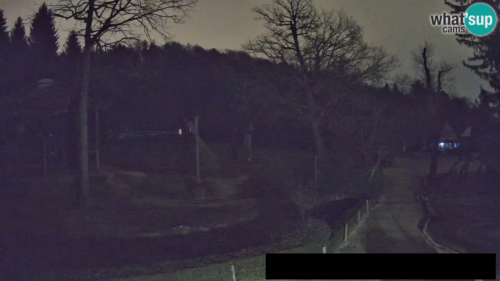 Webcam Zoo Ljubljana – Giraffes