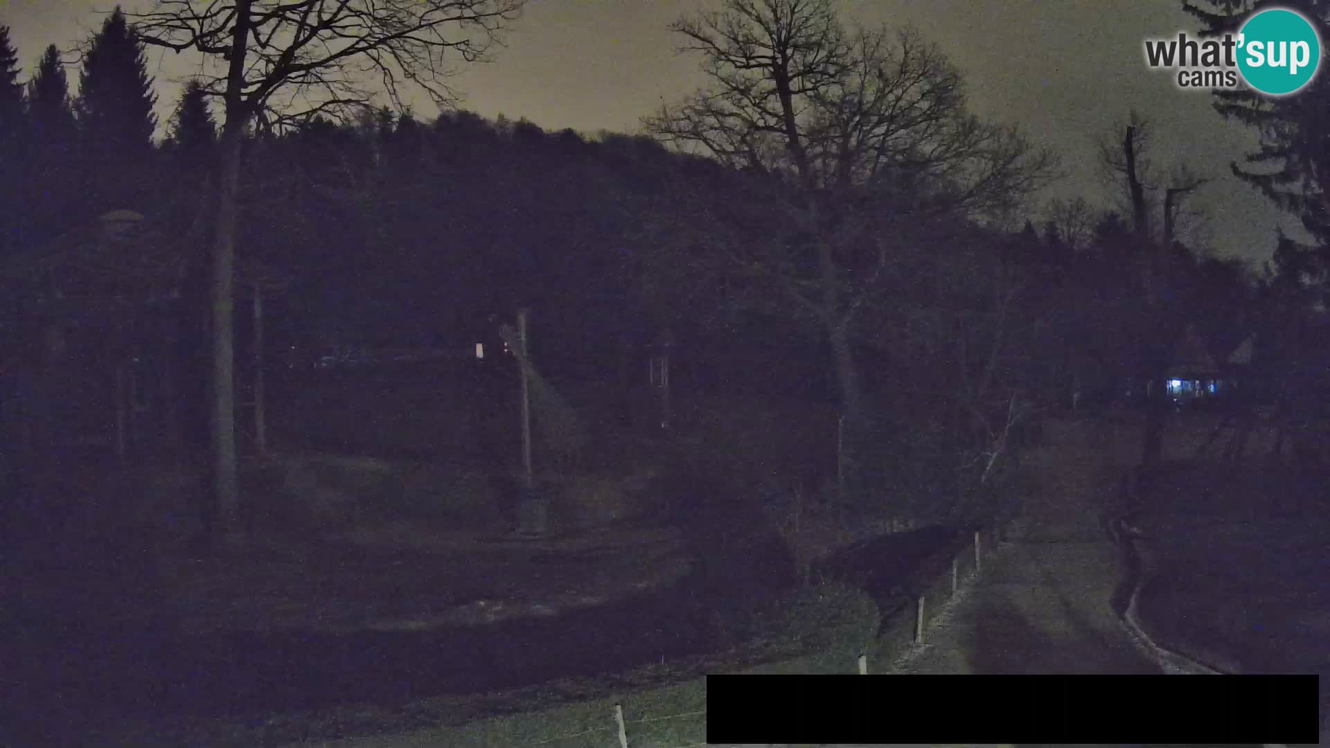 Webcam Zoo Ljubljana – Giraffes