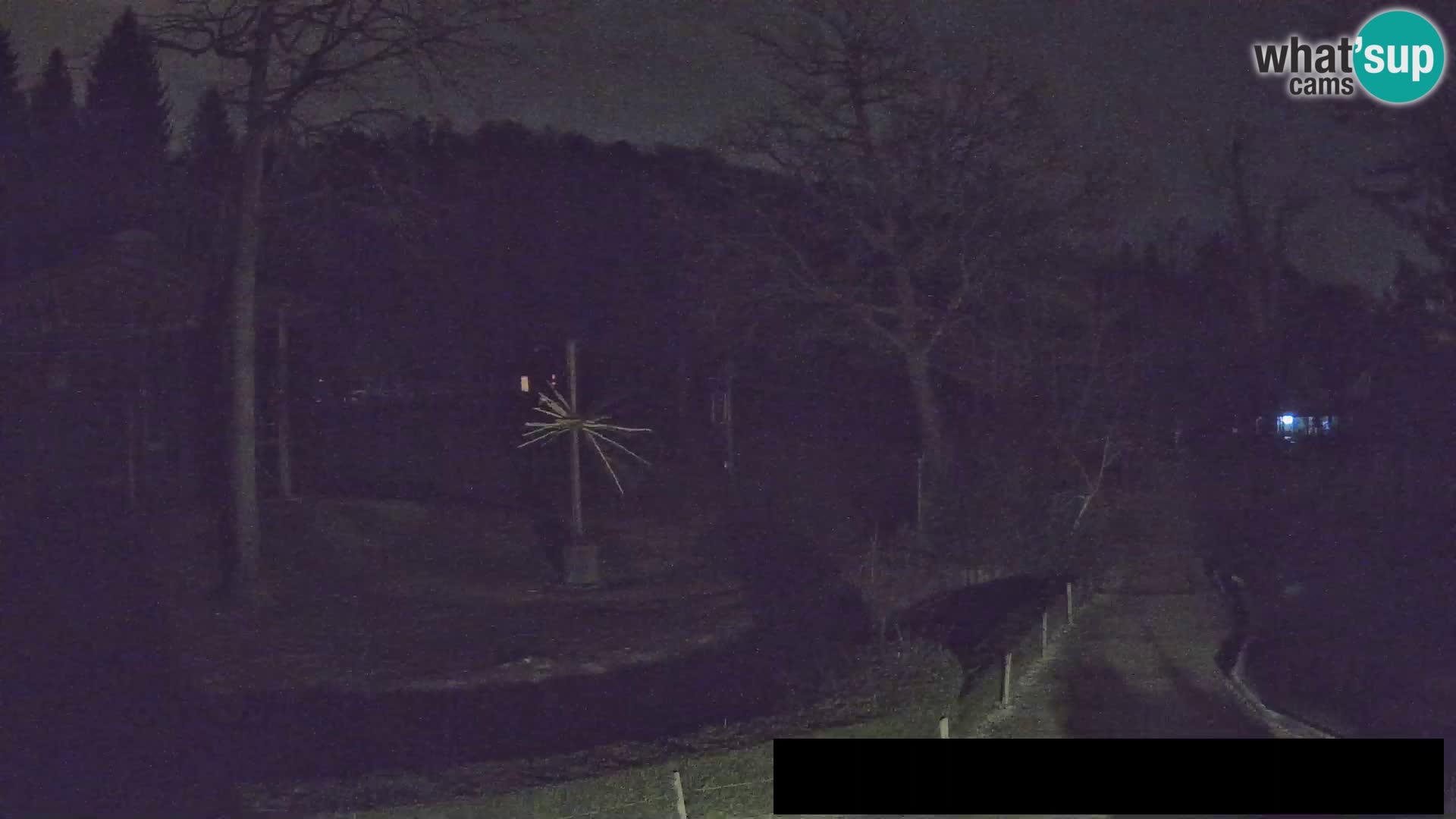 Webcam Zoo Ljubljana – Giraffes