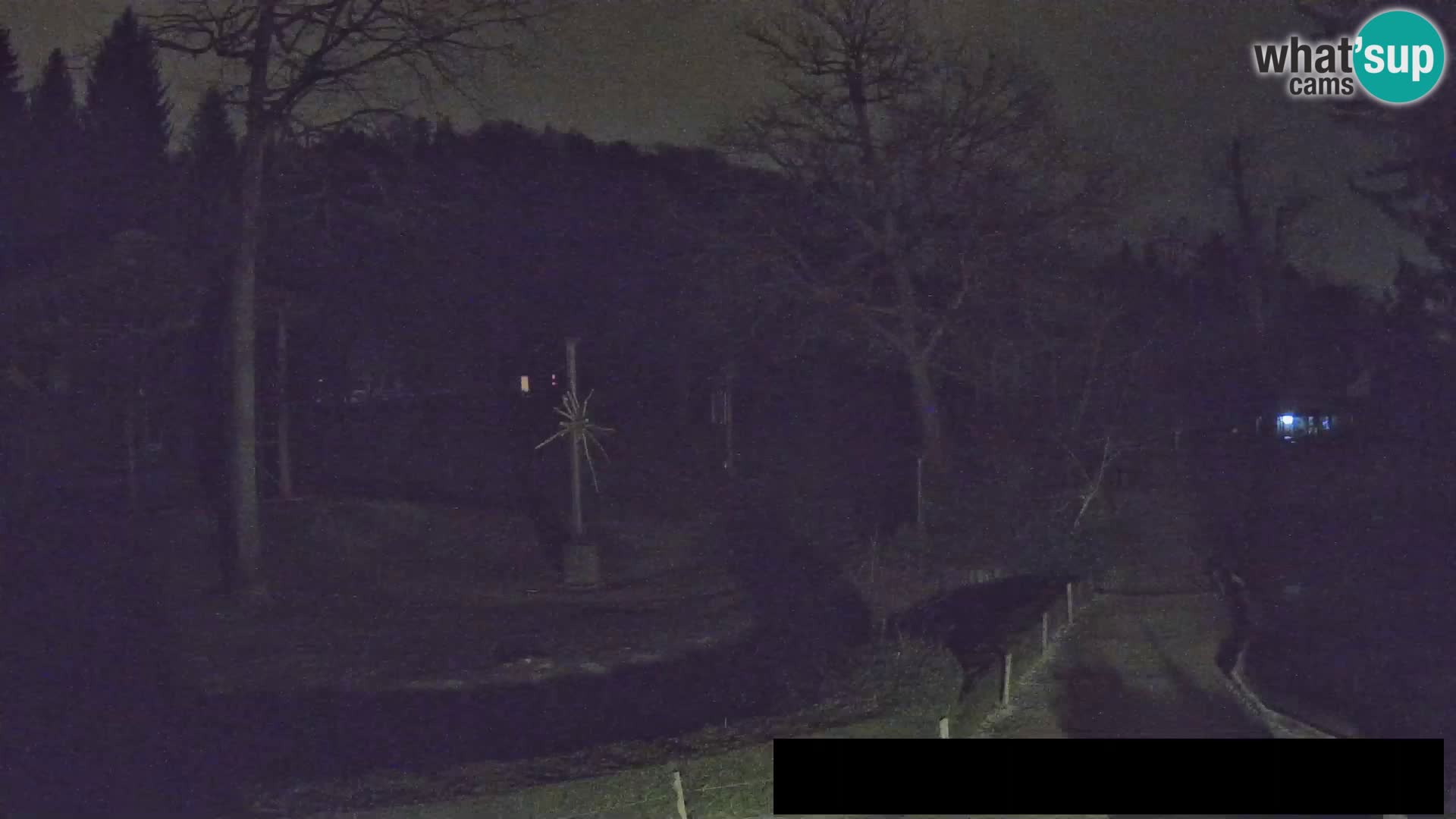 Webcam Zoo Ljubljana – Giraffes