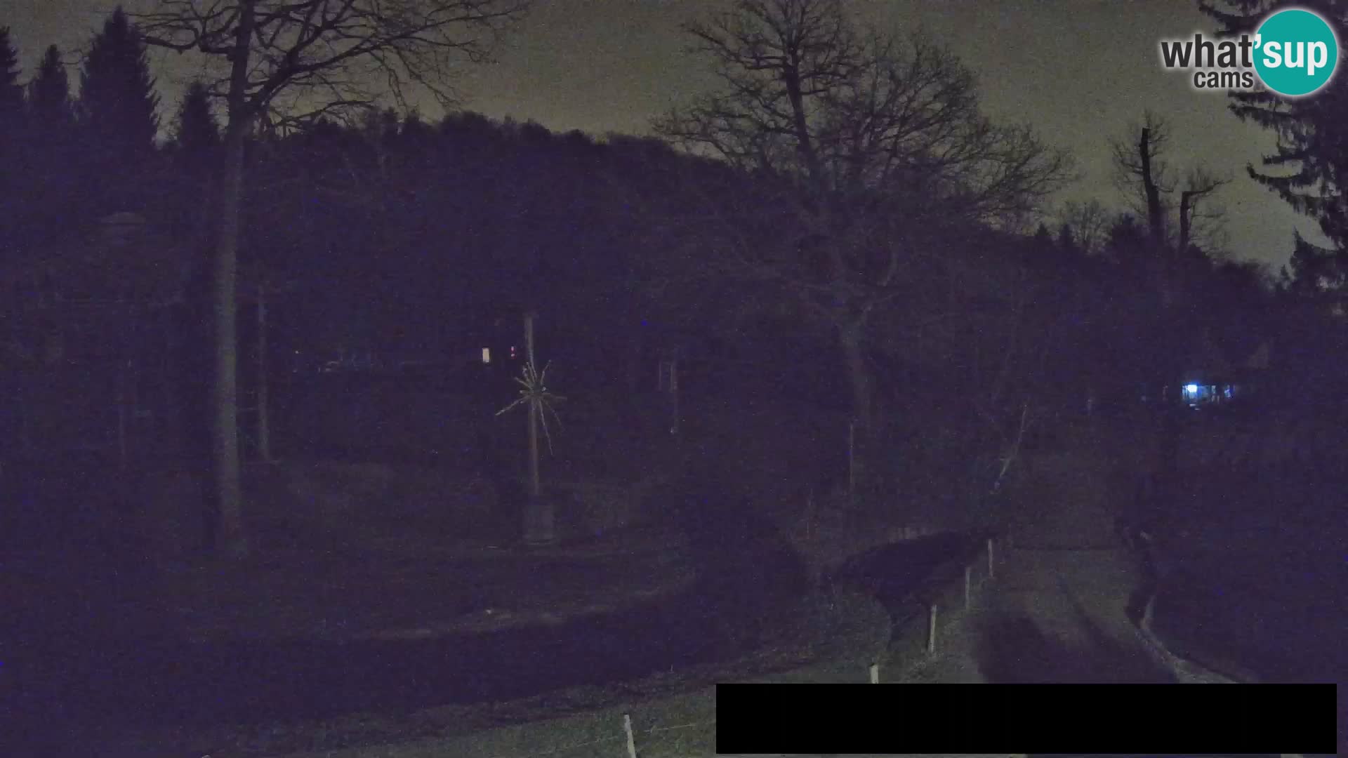 Webcam Zoo Ljubljana – Giraffes