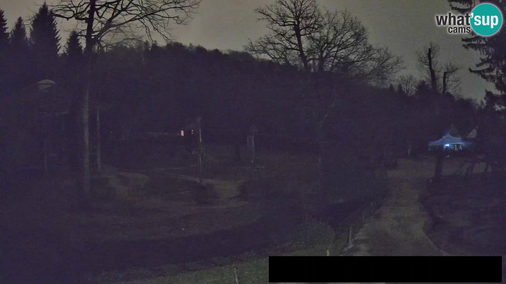 Webcam Zoo Ljubljana – Giraffes