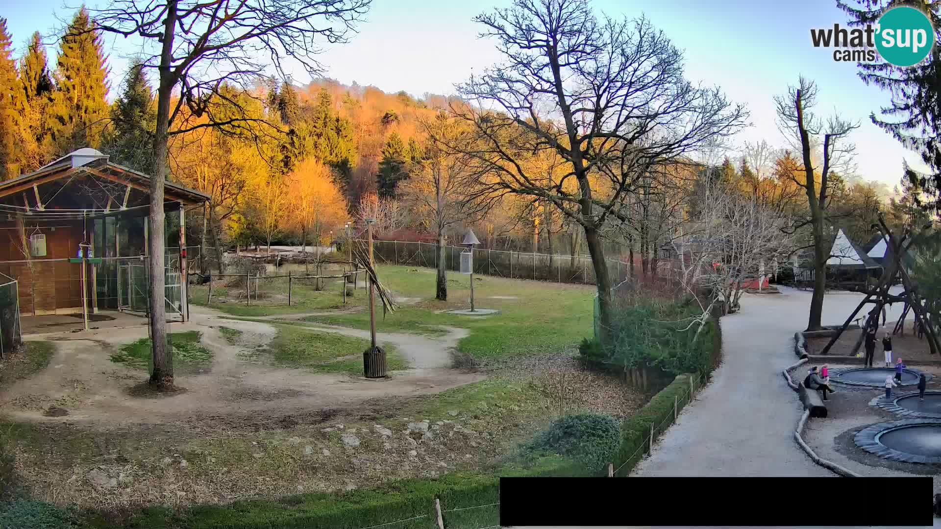 Webcam Zoo Ljubljana – Jirafas