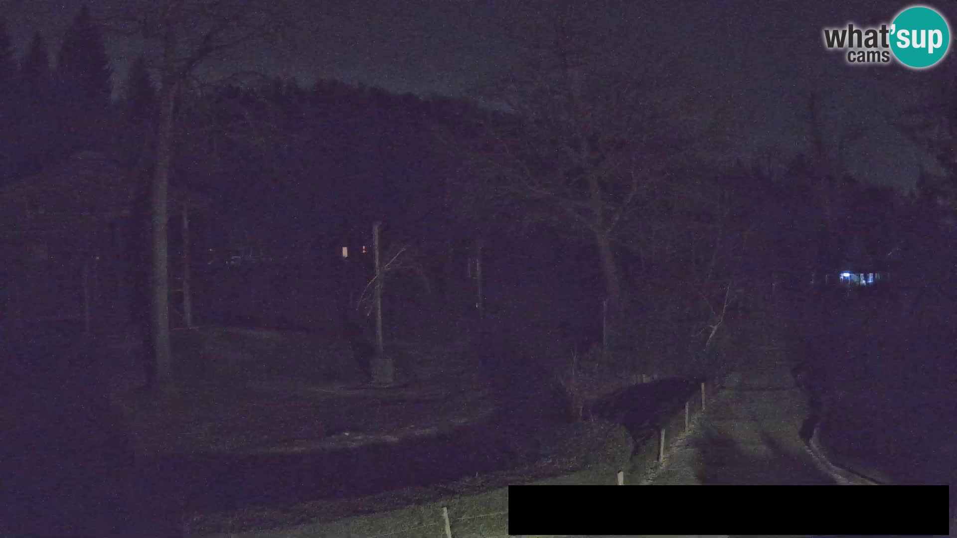 Webcam Zoo Ljubljana – Giraffes