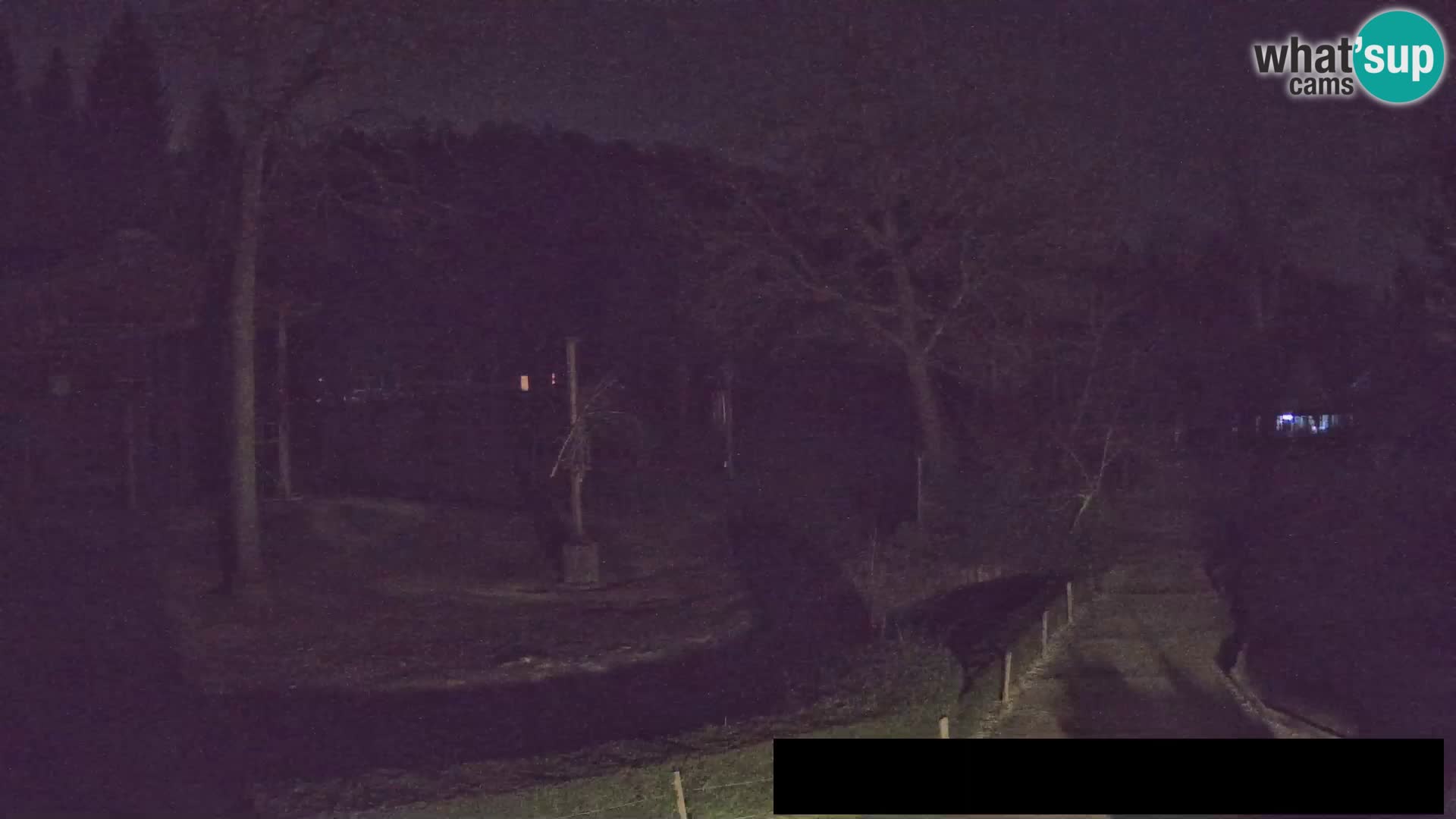 Webcam Zoo Ljubljana – Giraffes