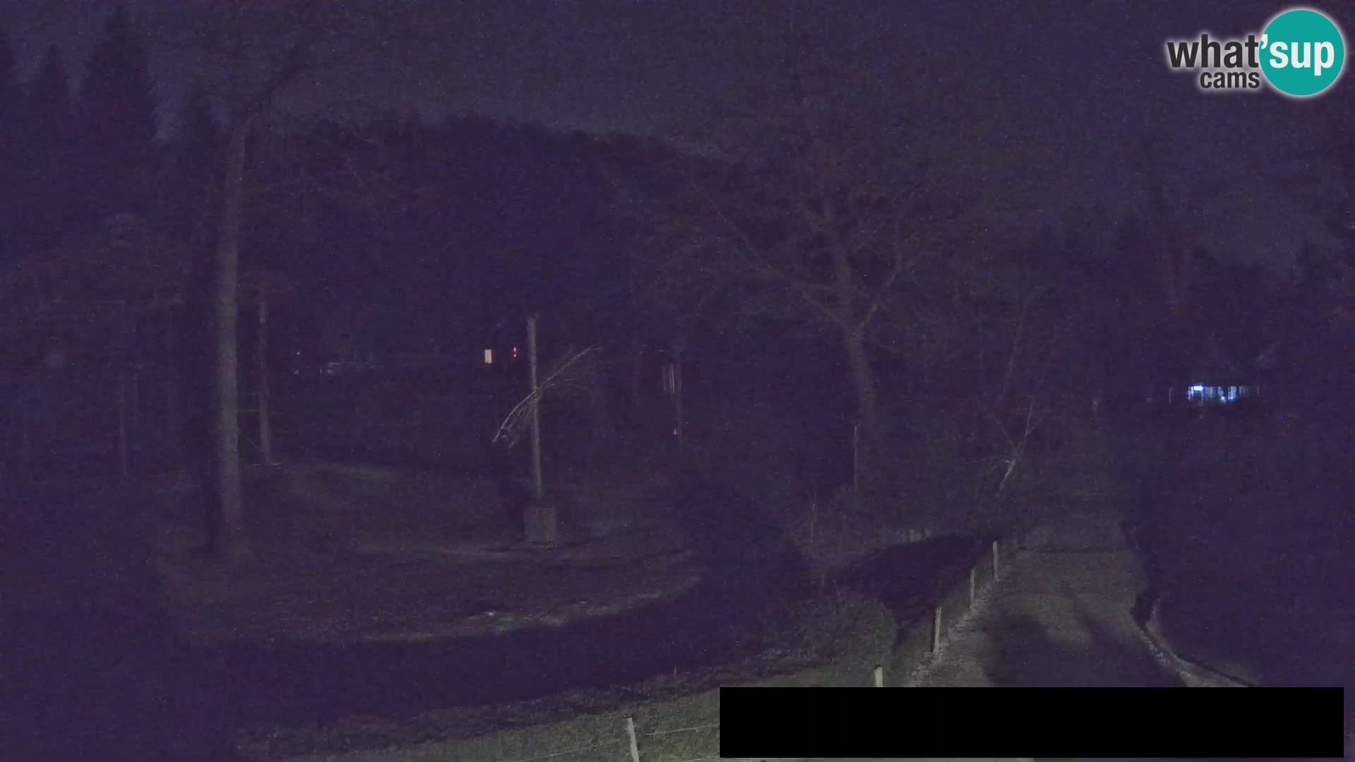 Webcam Zoo Ljubljana – Giraffes