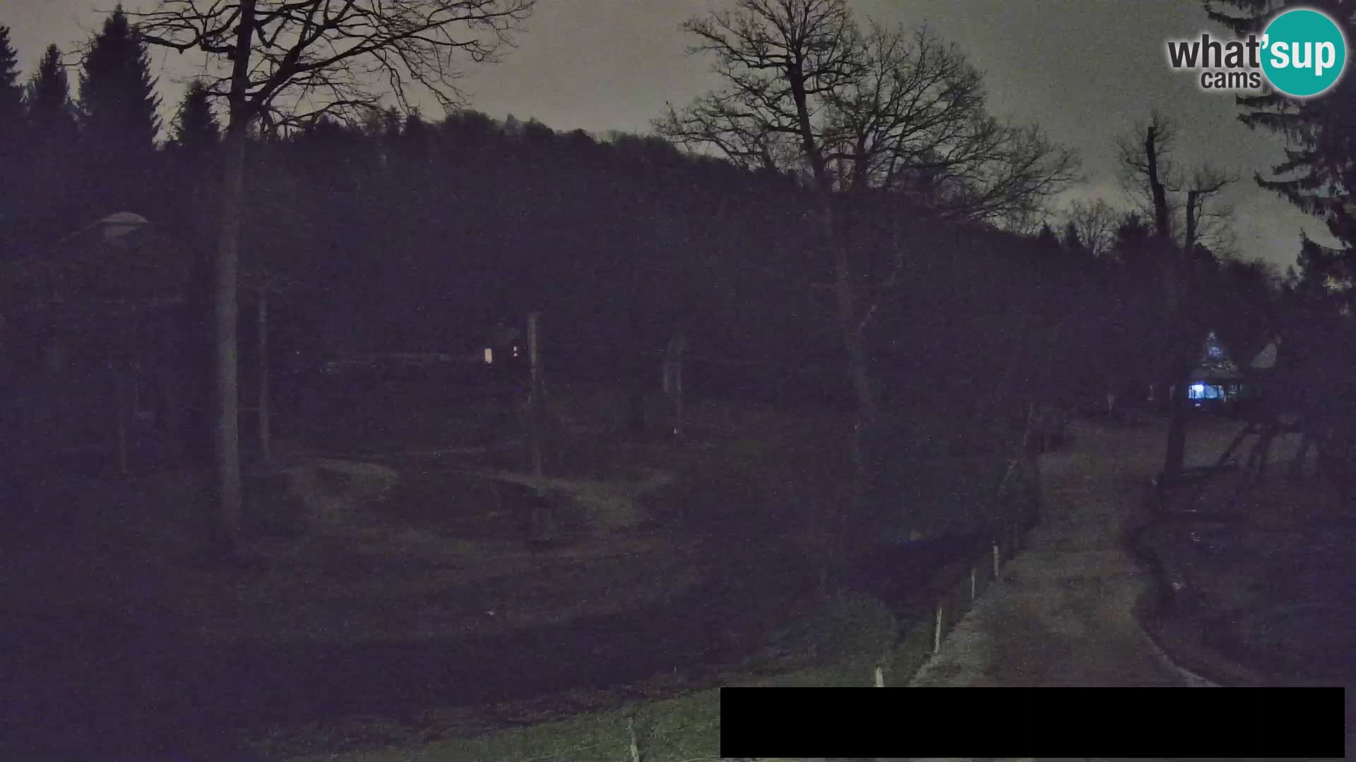 Webcam Zoo Ljubljana – Giraffes