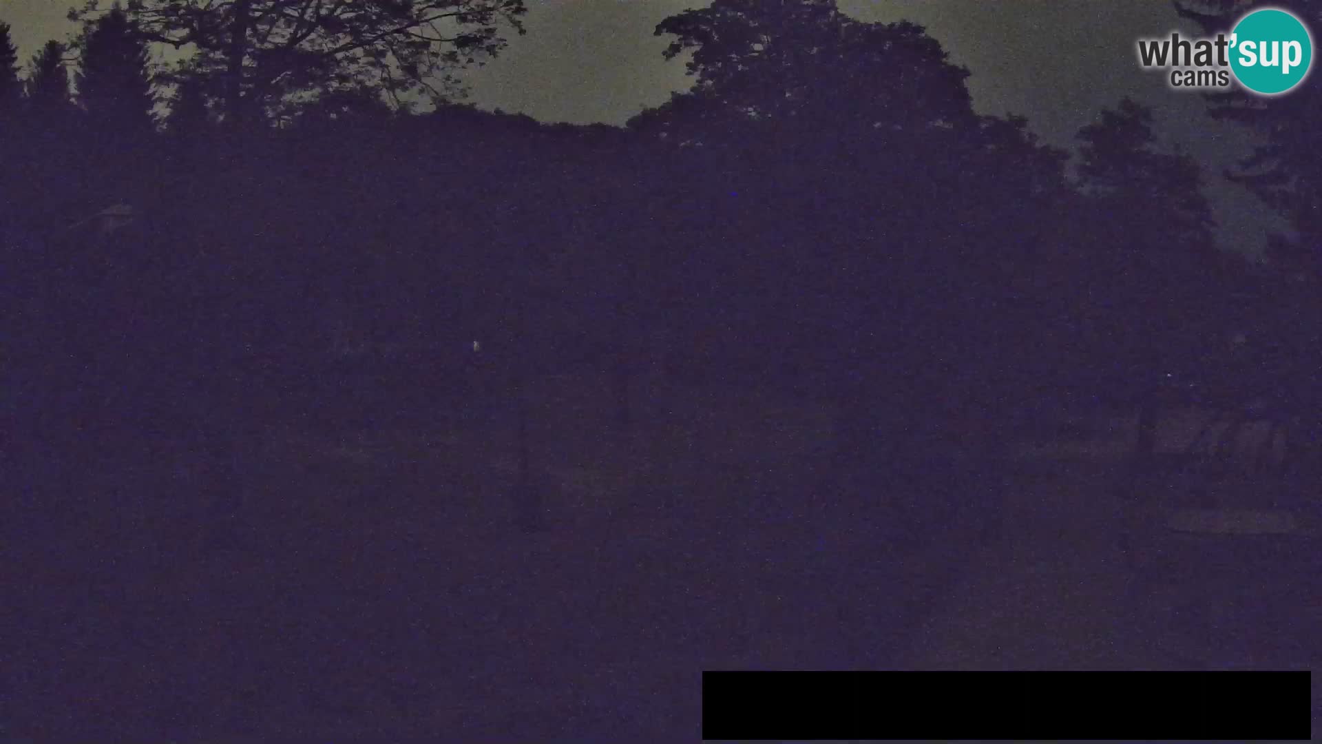 Webcam Zoo Ljubljana – Giraffes