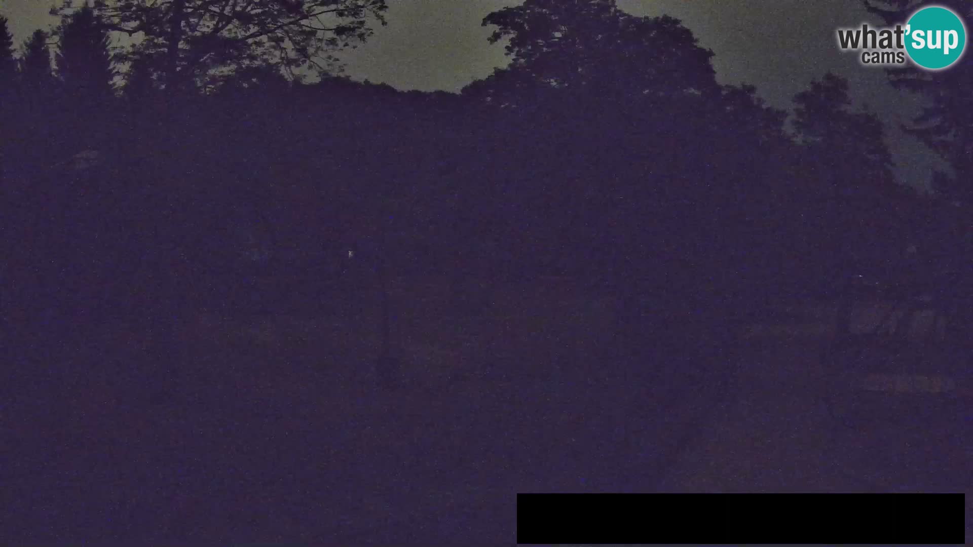 Webcam Zoo Ljubljana – Giraffes