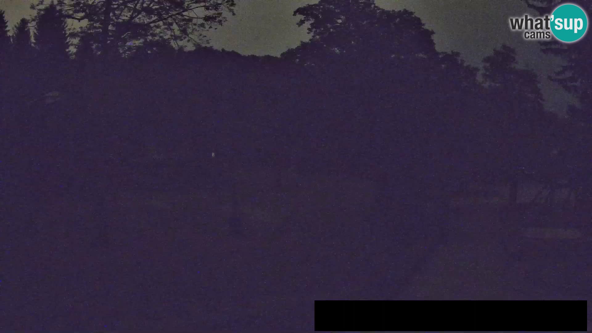 Webcam Zoo Ljubljana – Giraffes