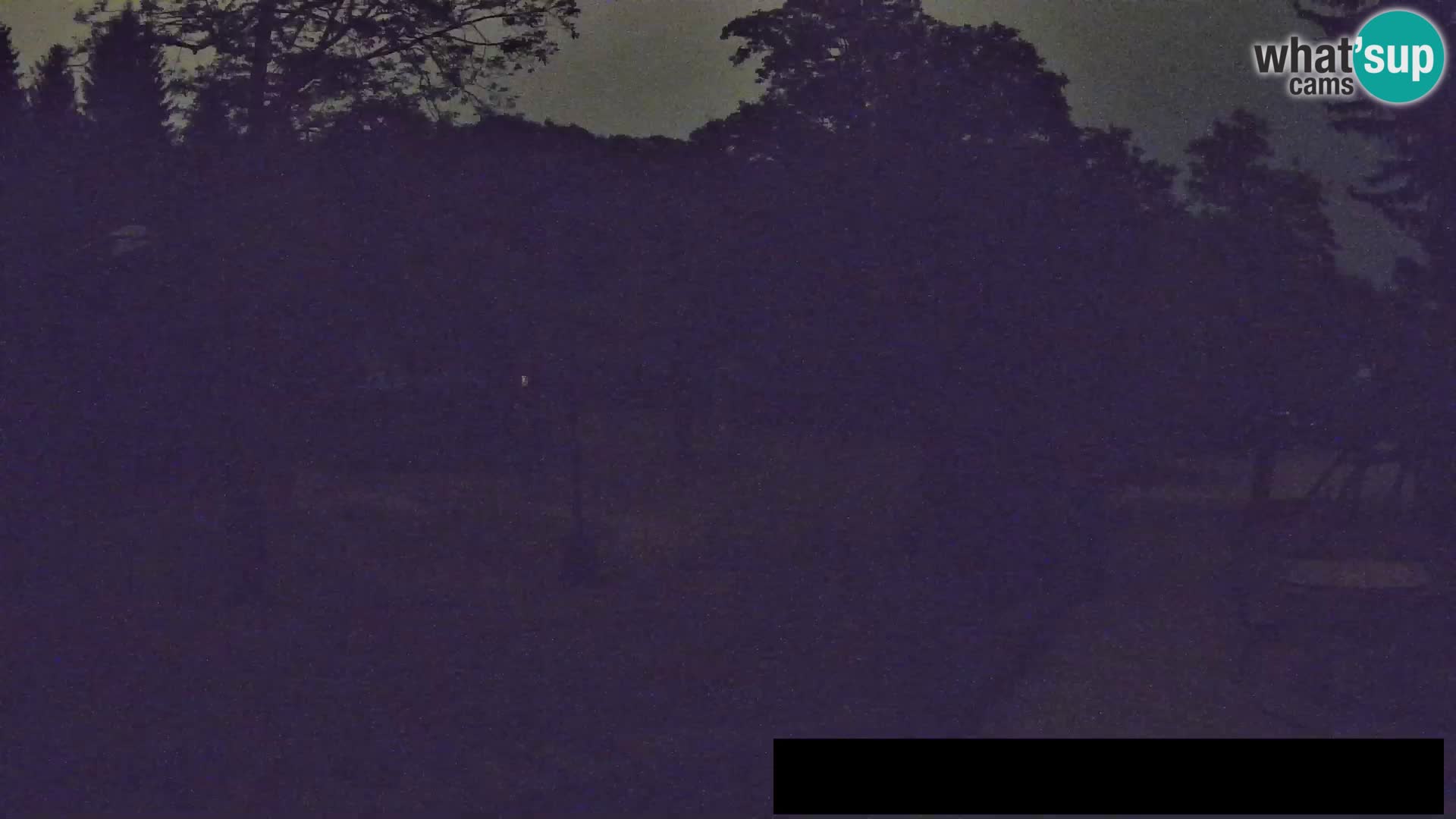 Webcam Zoo Ljubljana – Giraffes