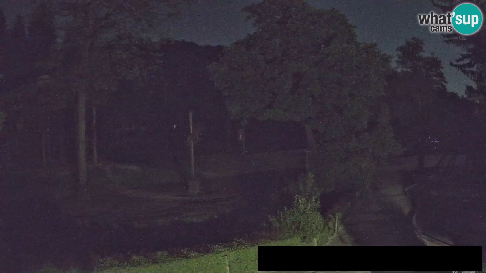 Webcam Zoo Ljubljana – Giraffes