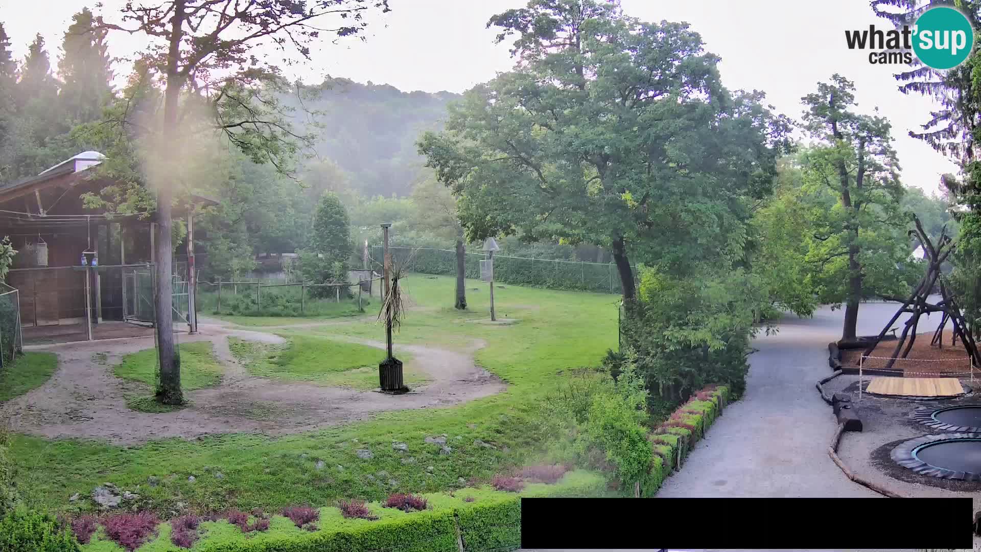 Web kamera Zoo Ljubljana – Žirafe