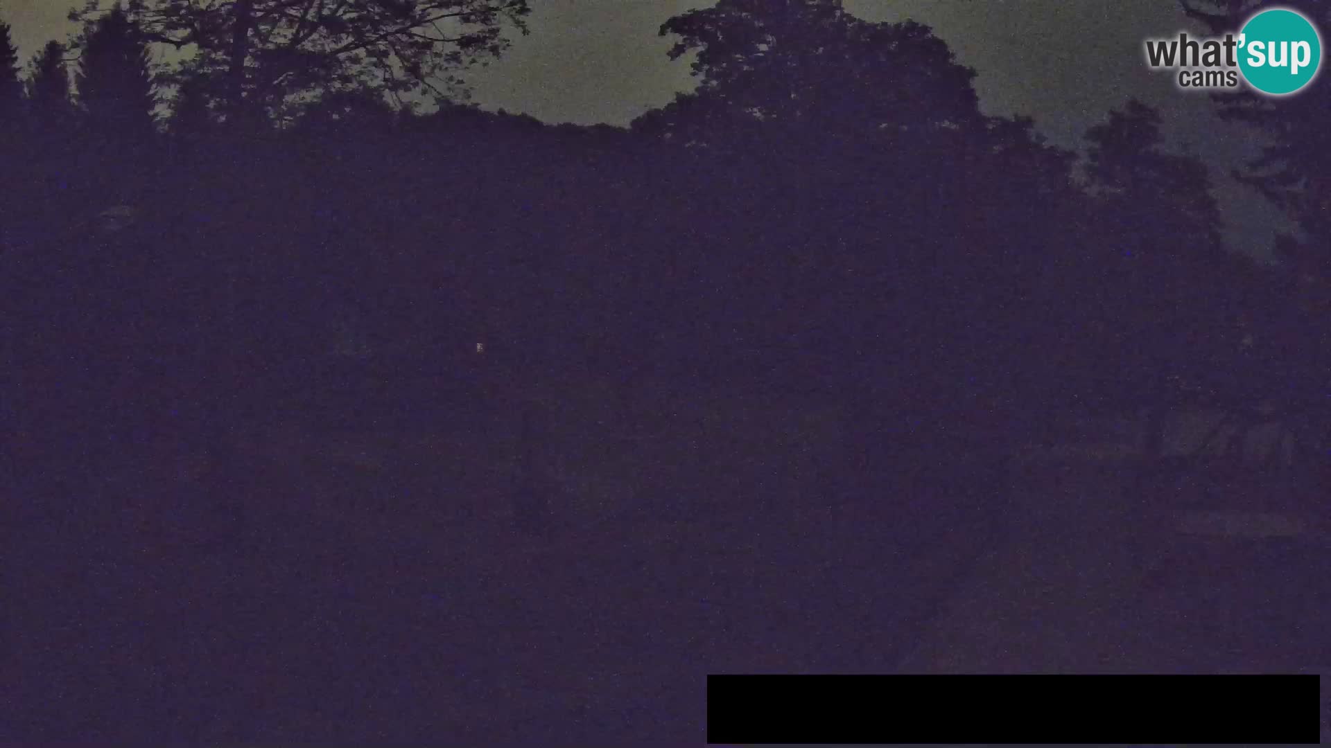 Webcam Zoo Ljubljana – Giraffes