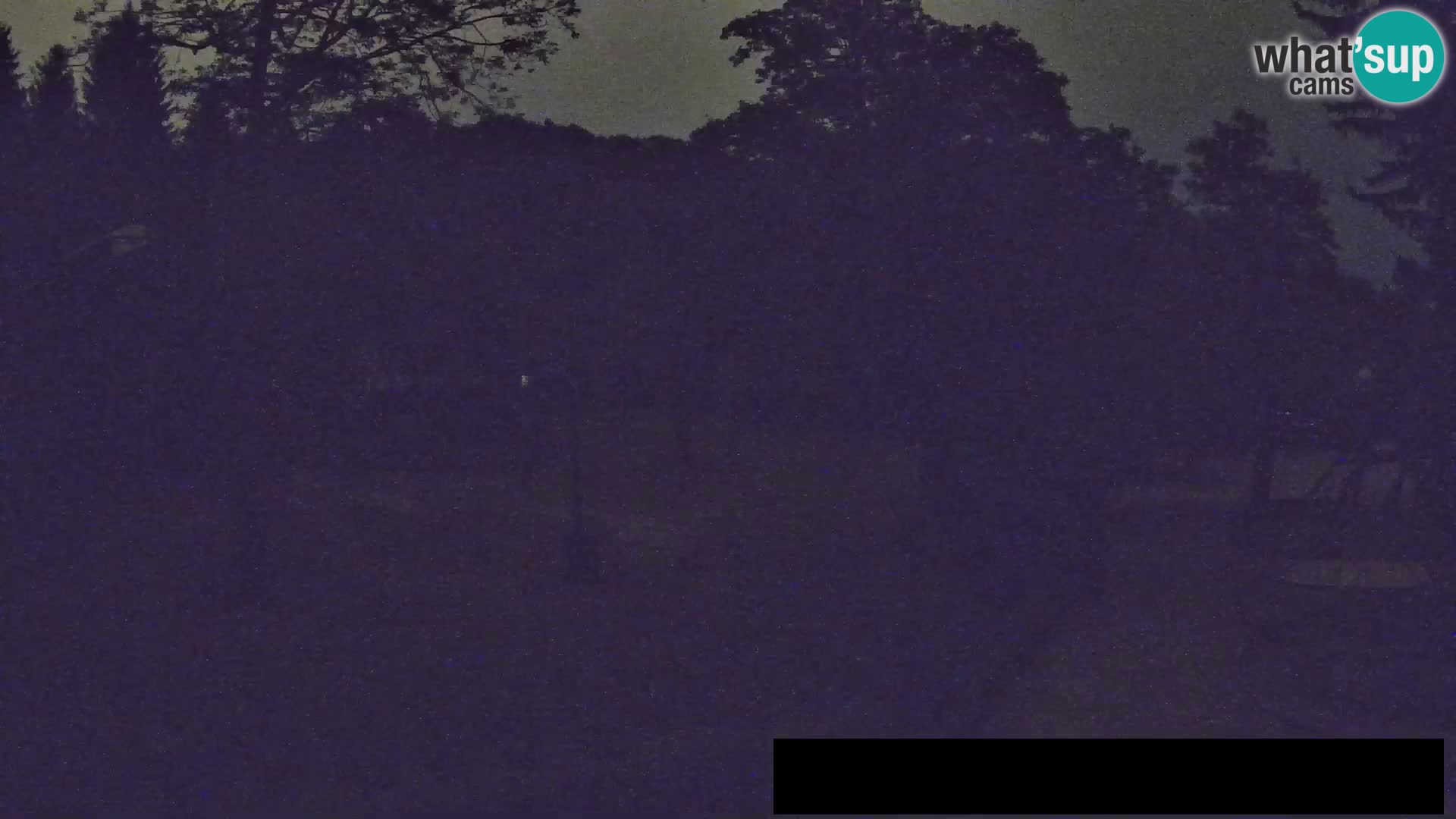 Webcam live Zoo Lubiana – Giraffe