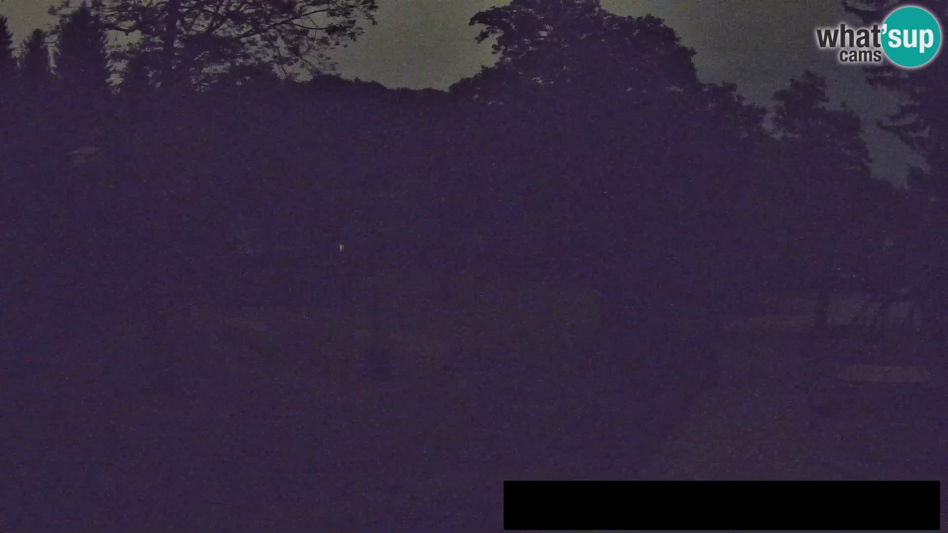 Webcam Zoo Ljubljana – Giraffes