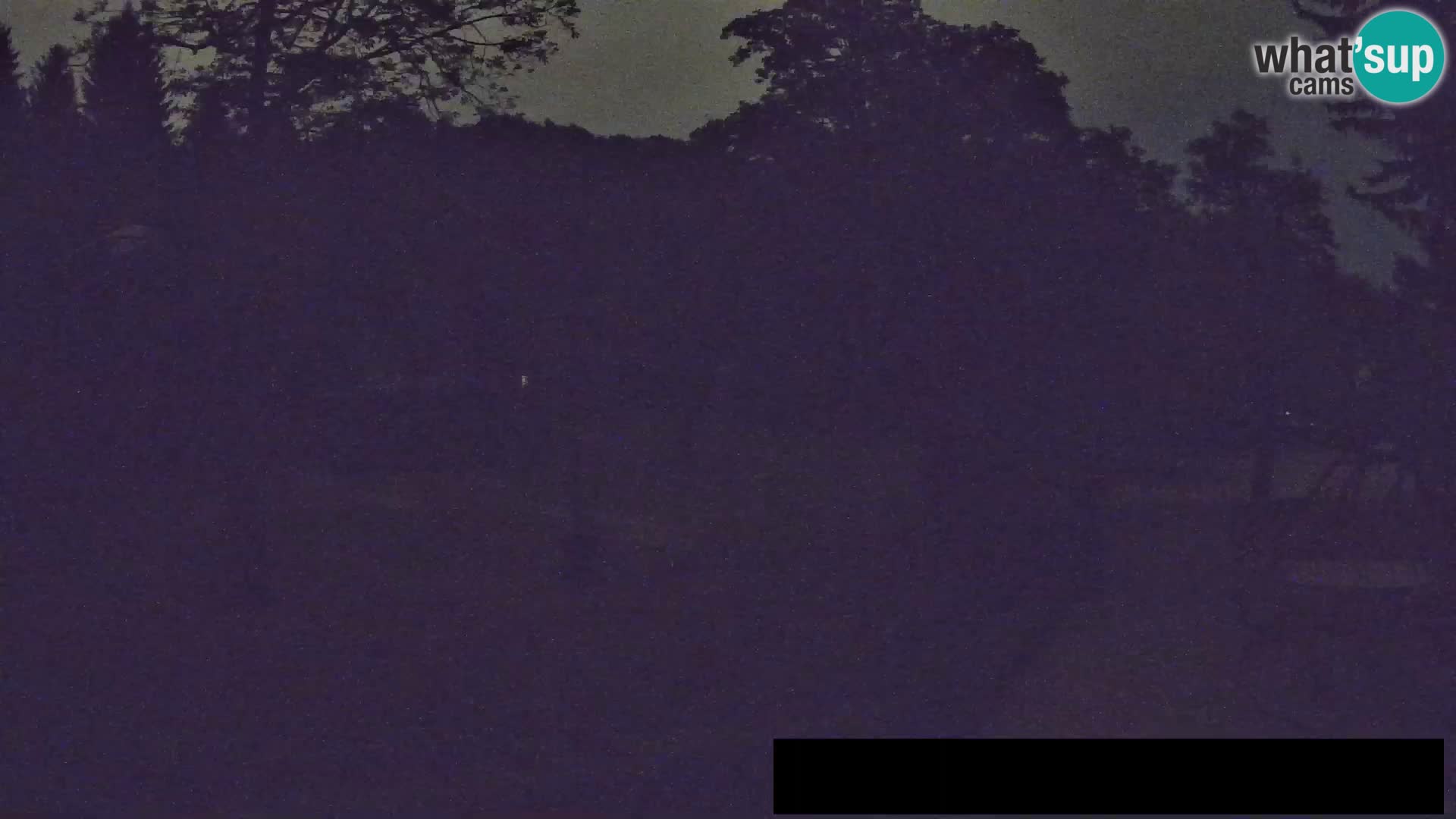 Webcam Zoo Ljubljana – Giraffes