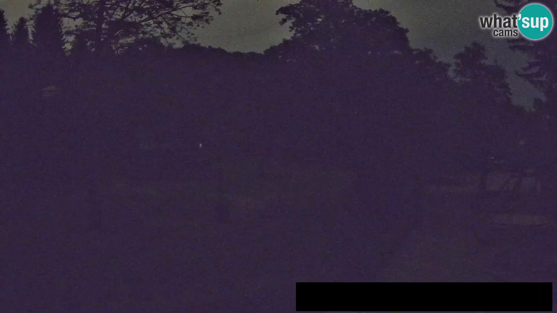 Webcam Zoo Ljubljana – Giraffes