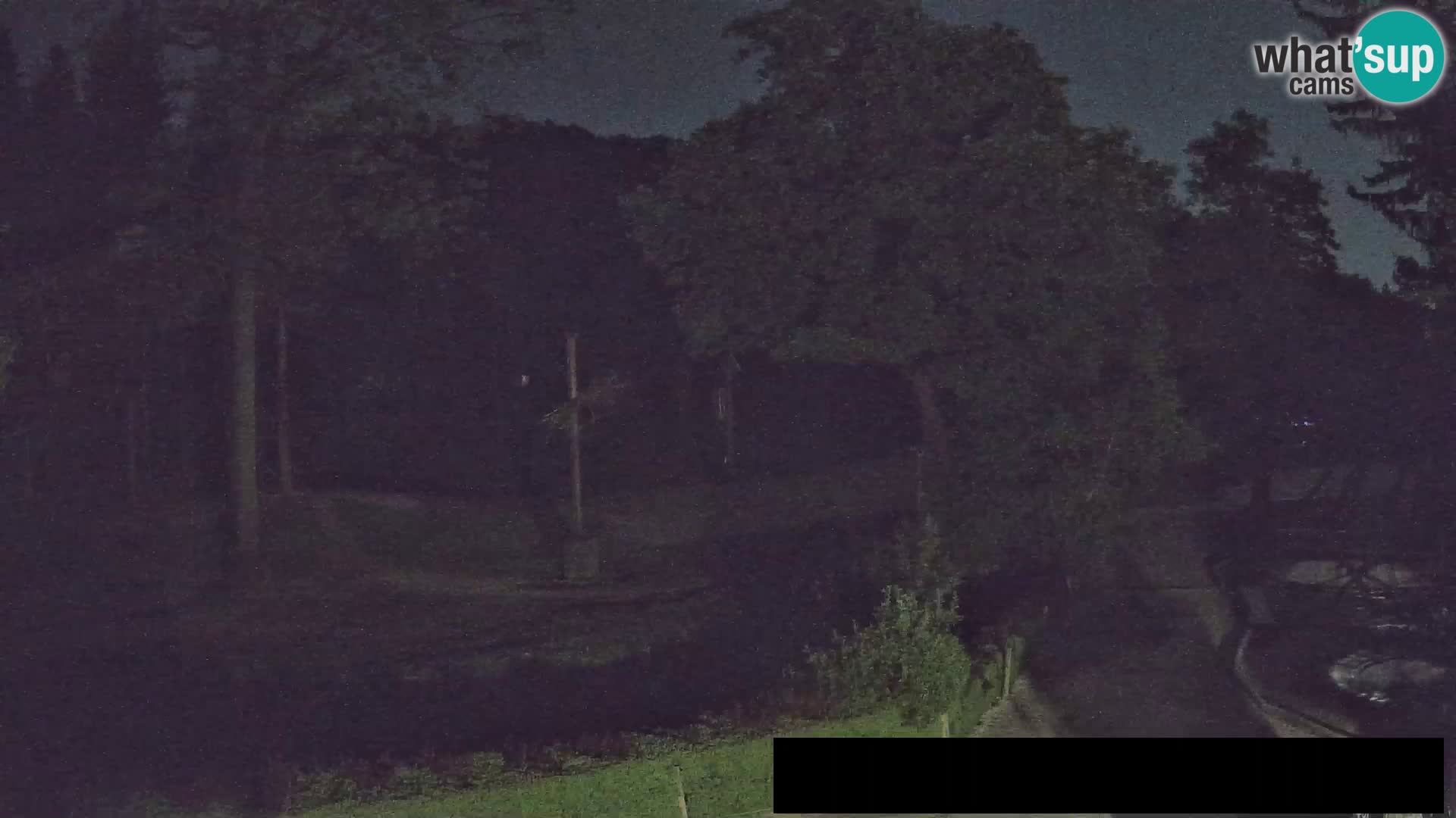 Webcam Zoo Ljubljana – Giraffes
