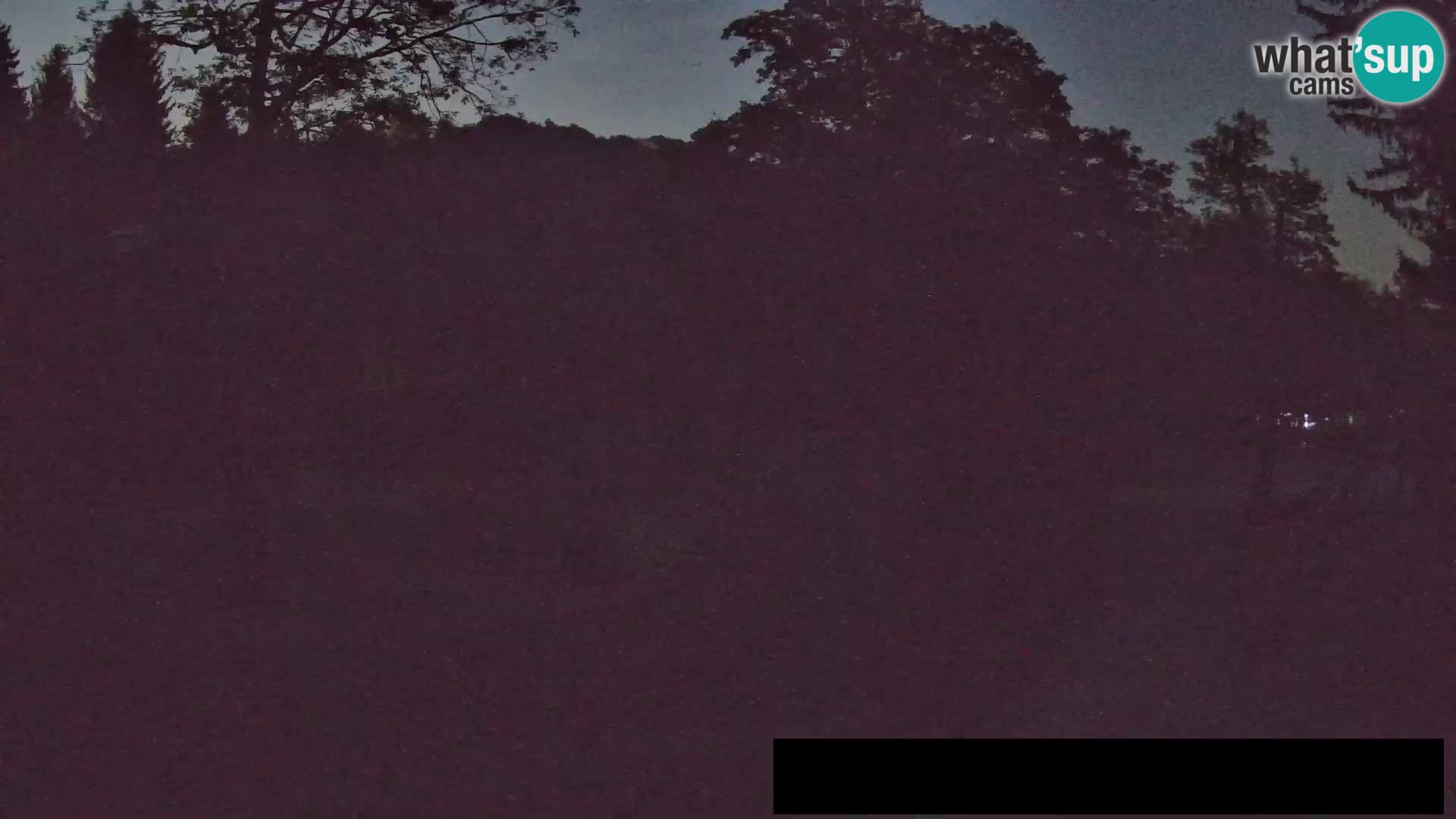 Webcam Zoo Ljubljana – Giraffes
