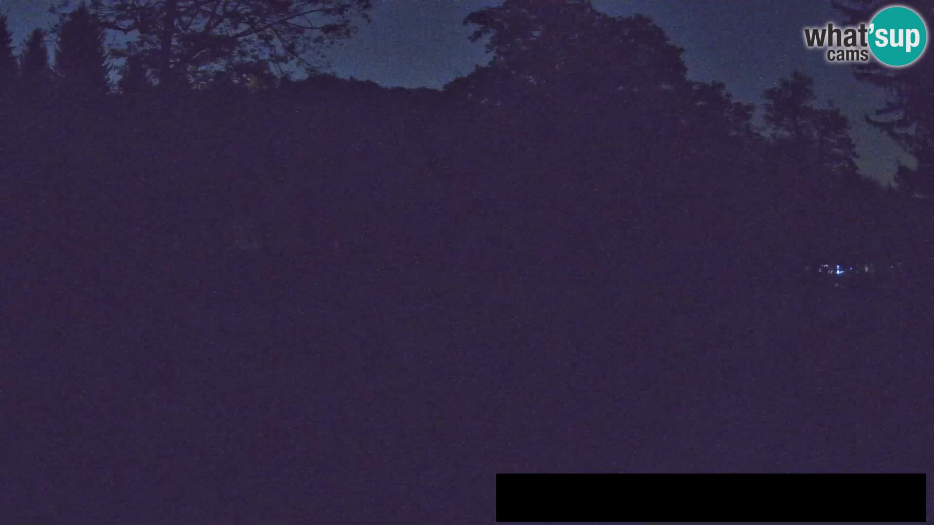 Webcam Zoo Ljubljana – Giraffes