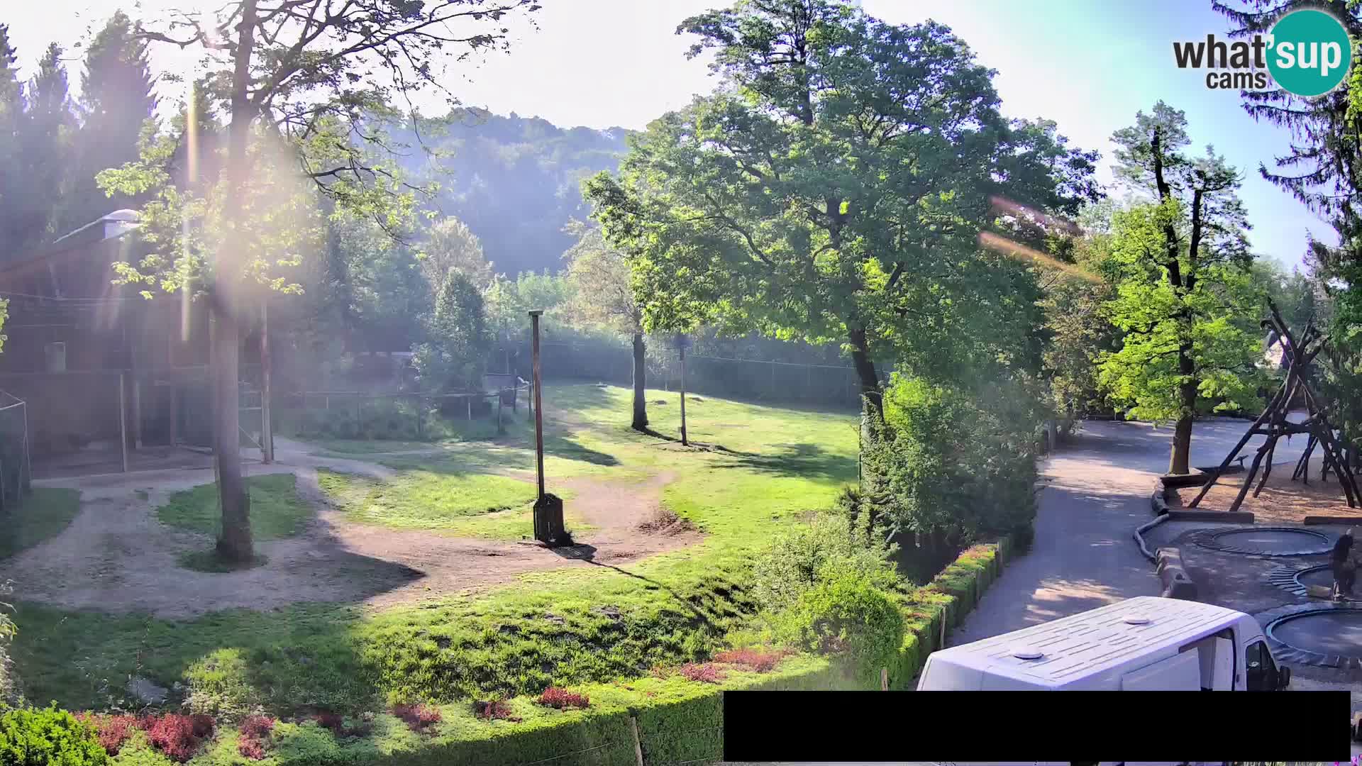 Webcam Zoo Ljubljana – Giraffes
