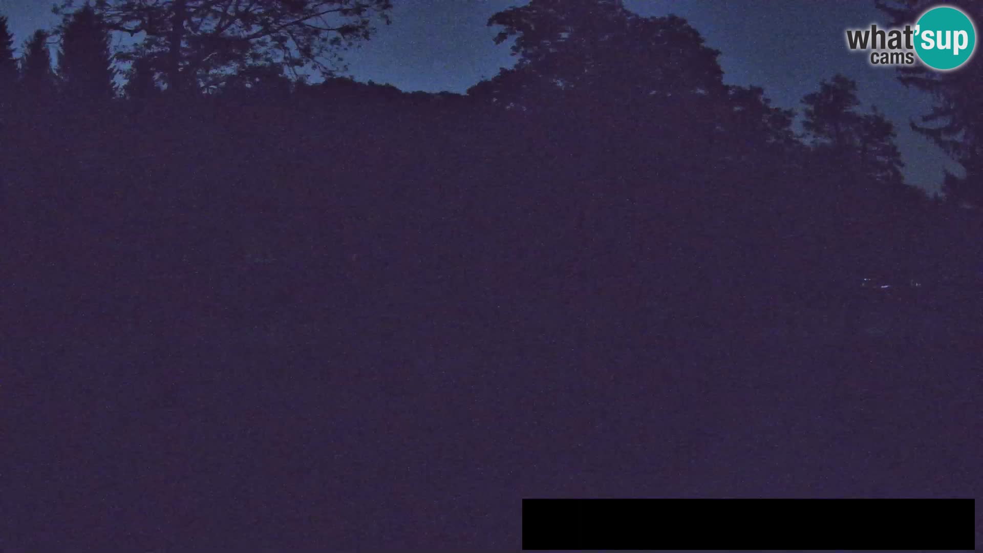 Webcam Zoo Ljubljana – Giraffes