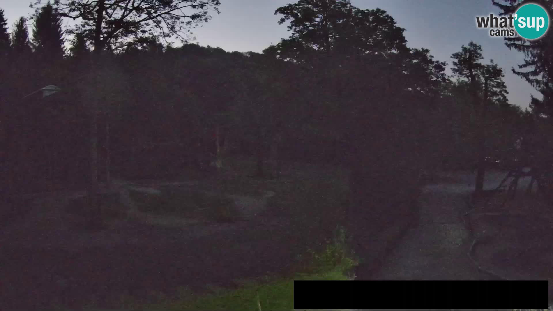Webcam Zoo Ljubljana – Giraffen