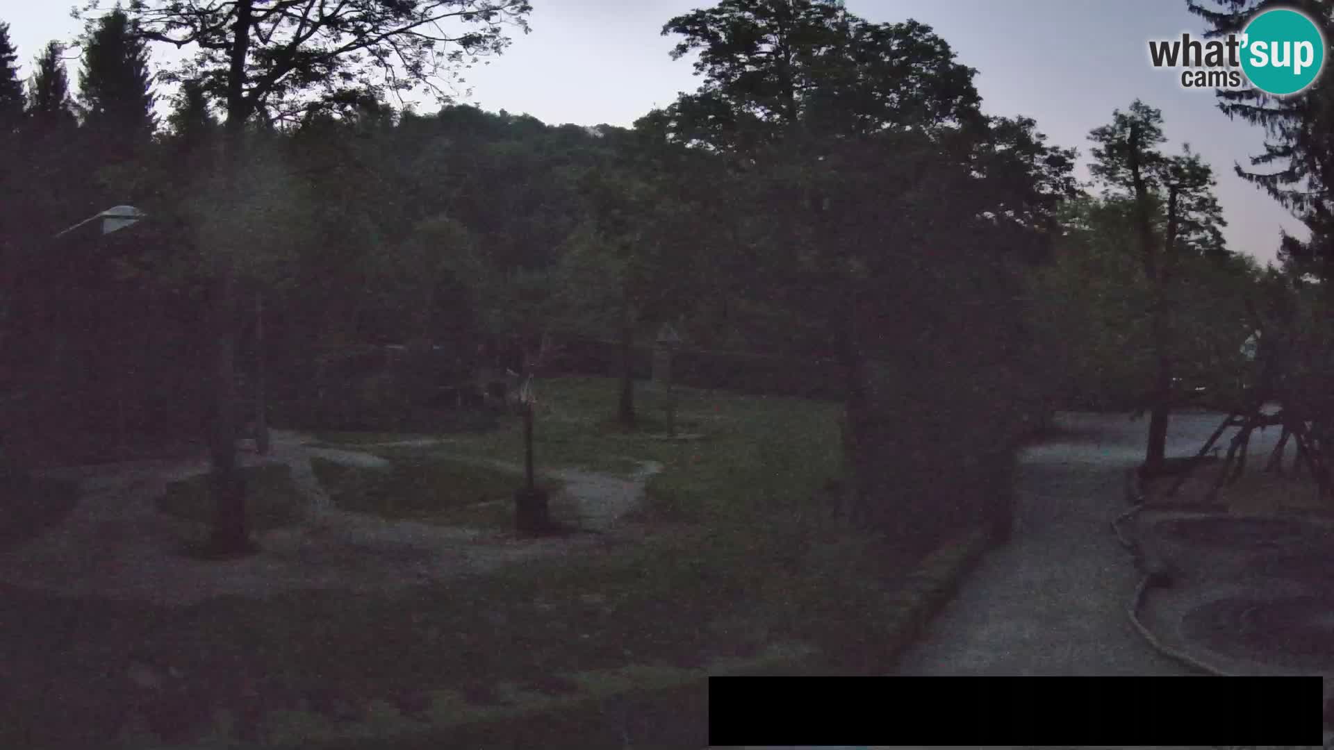Webcam live Zoo Lubiana – Giraffe