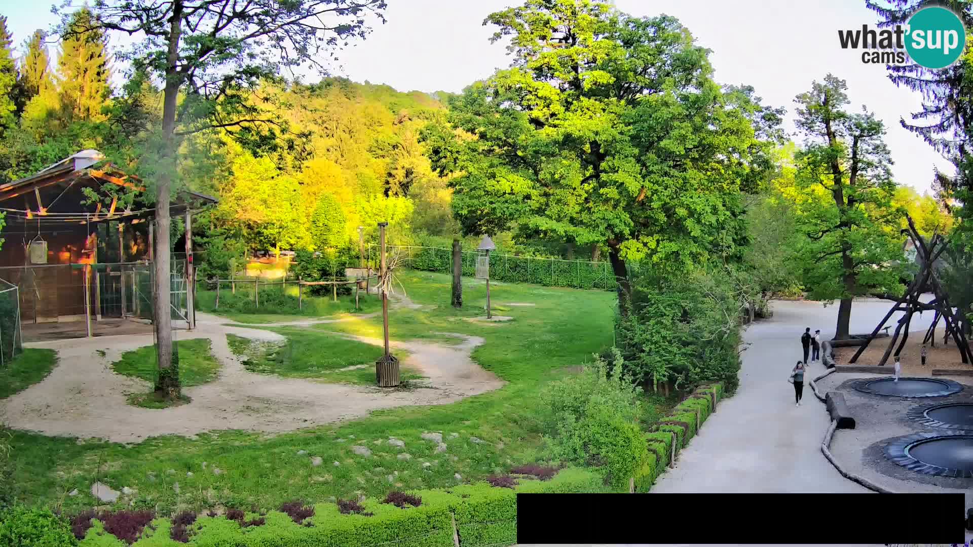 Web kamera Zoo Ljubljana – Žirafe