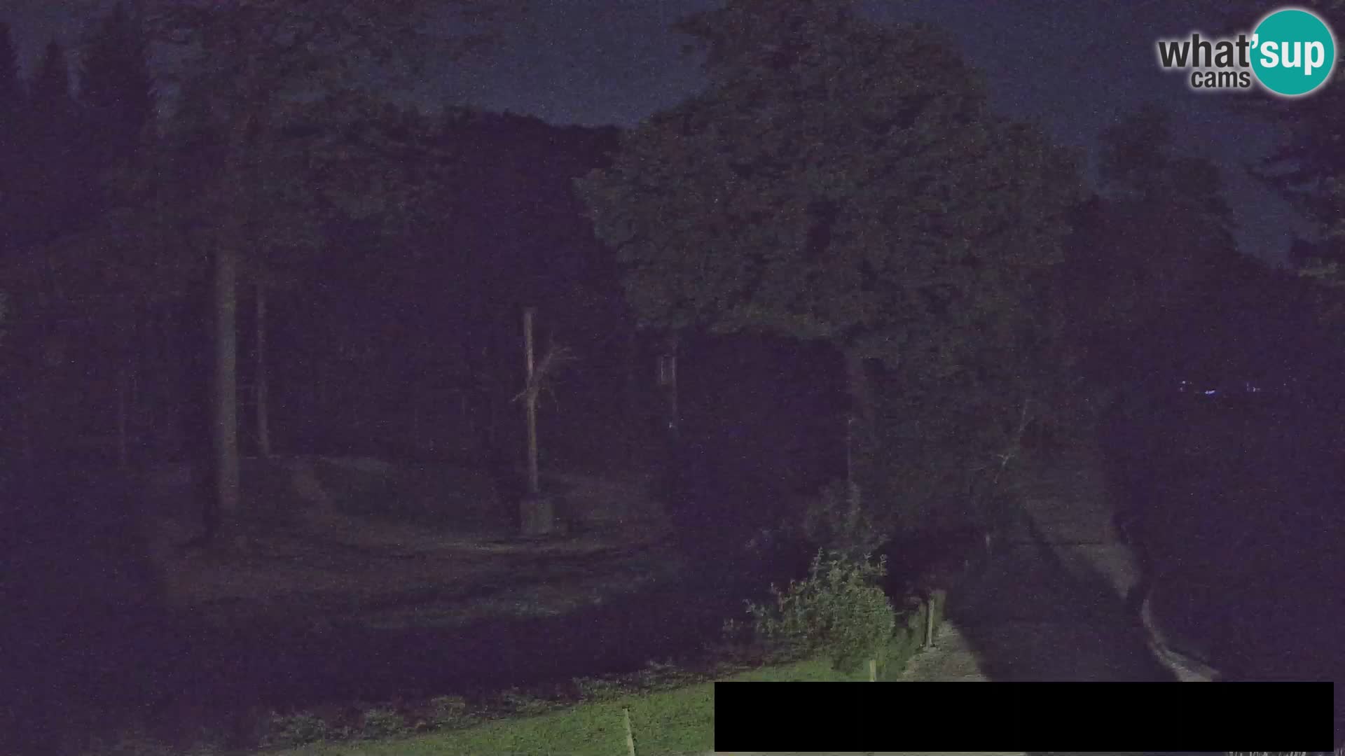 Webcam Zoo Ljubljana – Giraffes