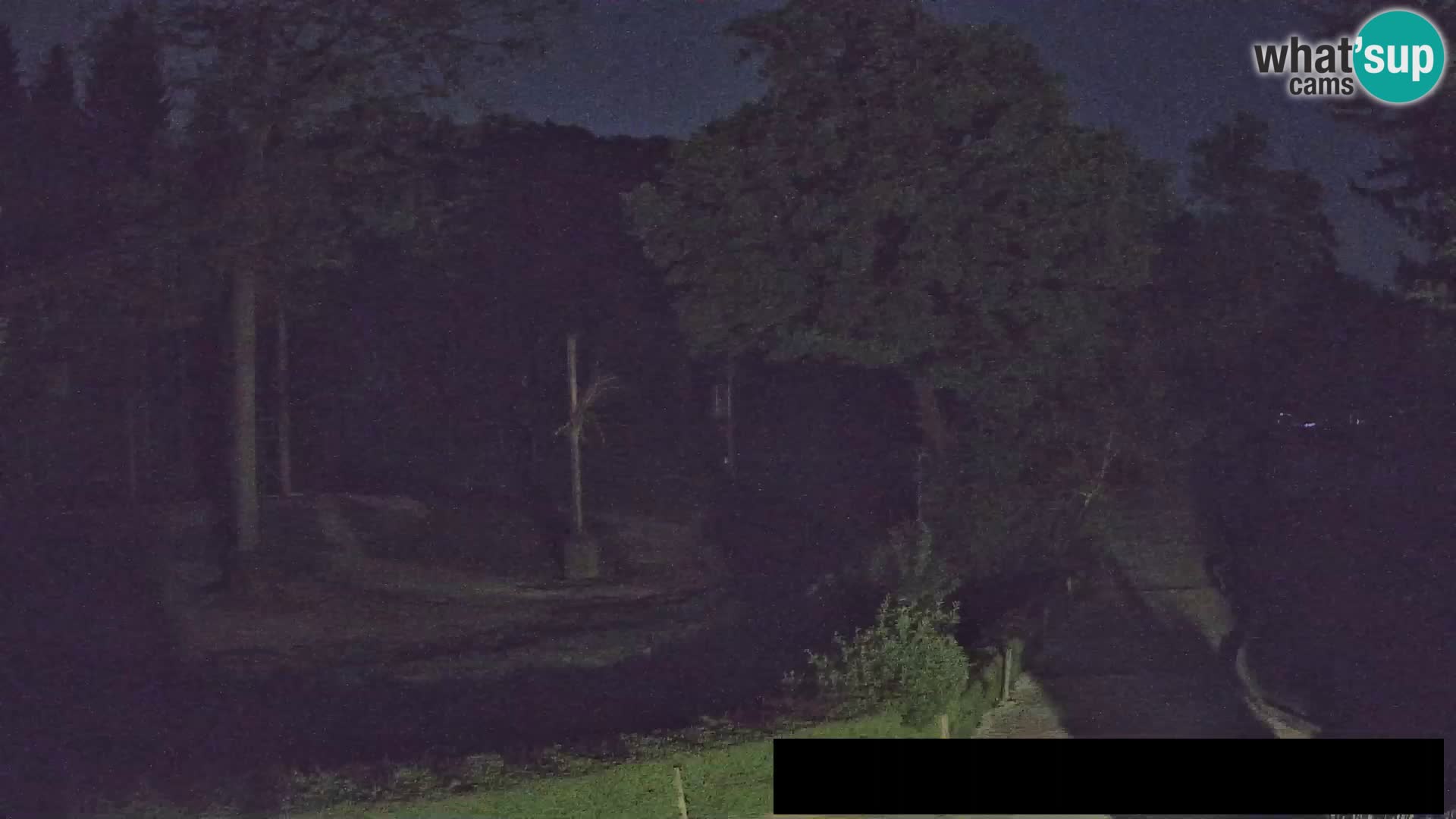 Webcam Zoo Ljubljana – Giraffen