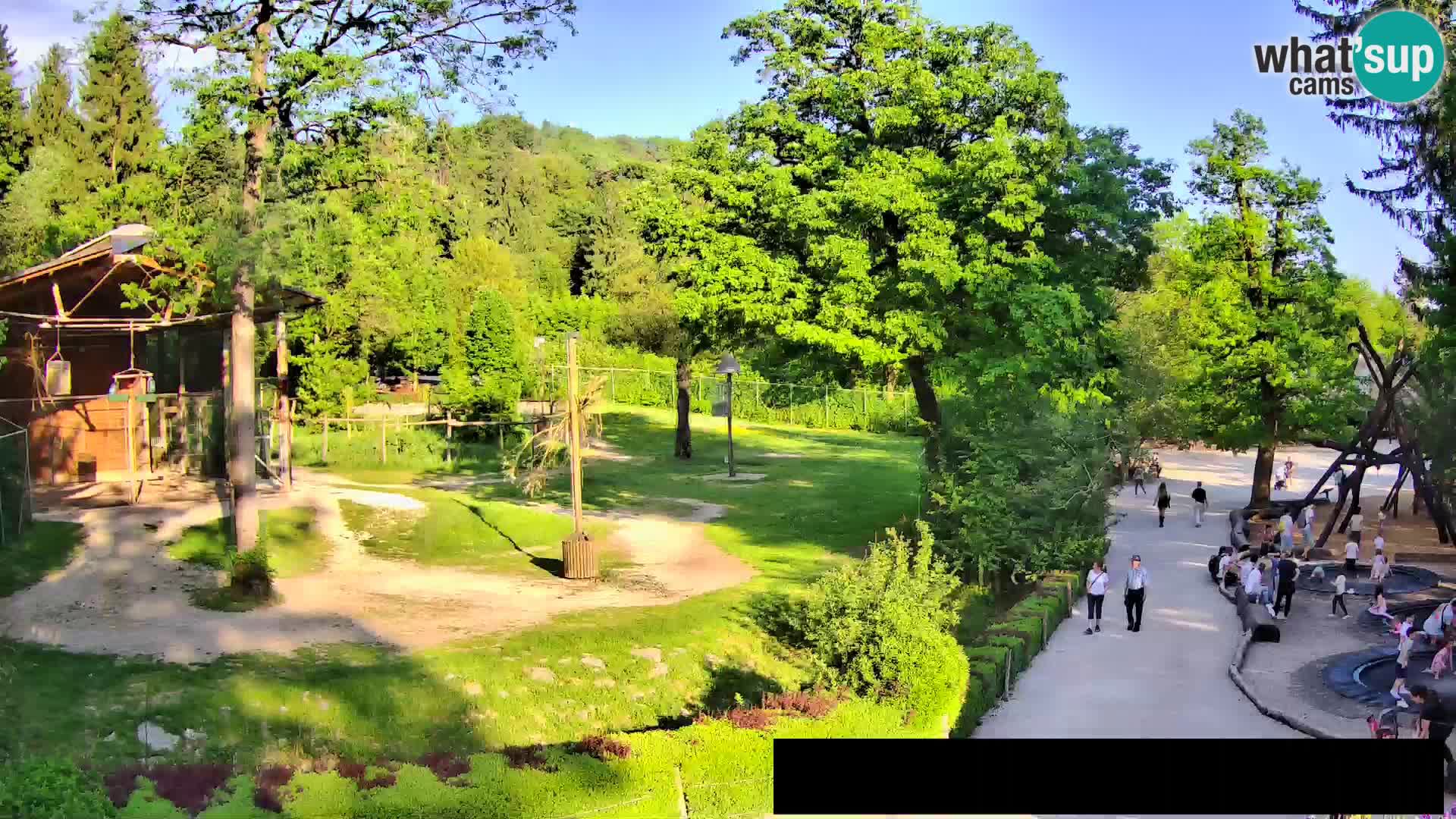 Web kamera Zoo Ljubljana – Žirafe