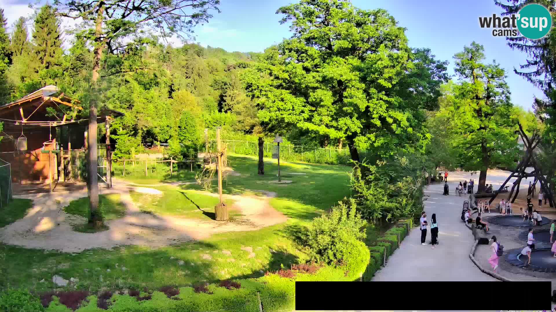 Web kamera Zoo Ljubljana – Žirafe