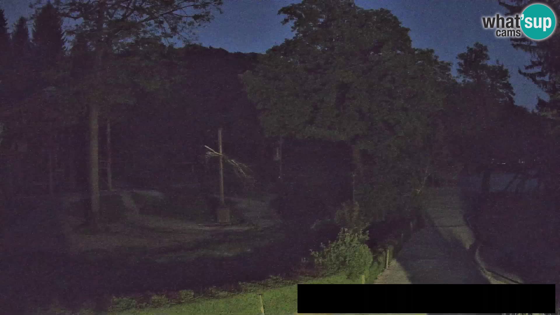 Webcam live Zoo Lubiana – Giraffe