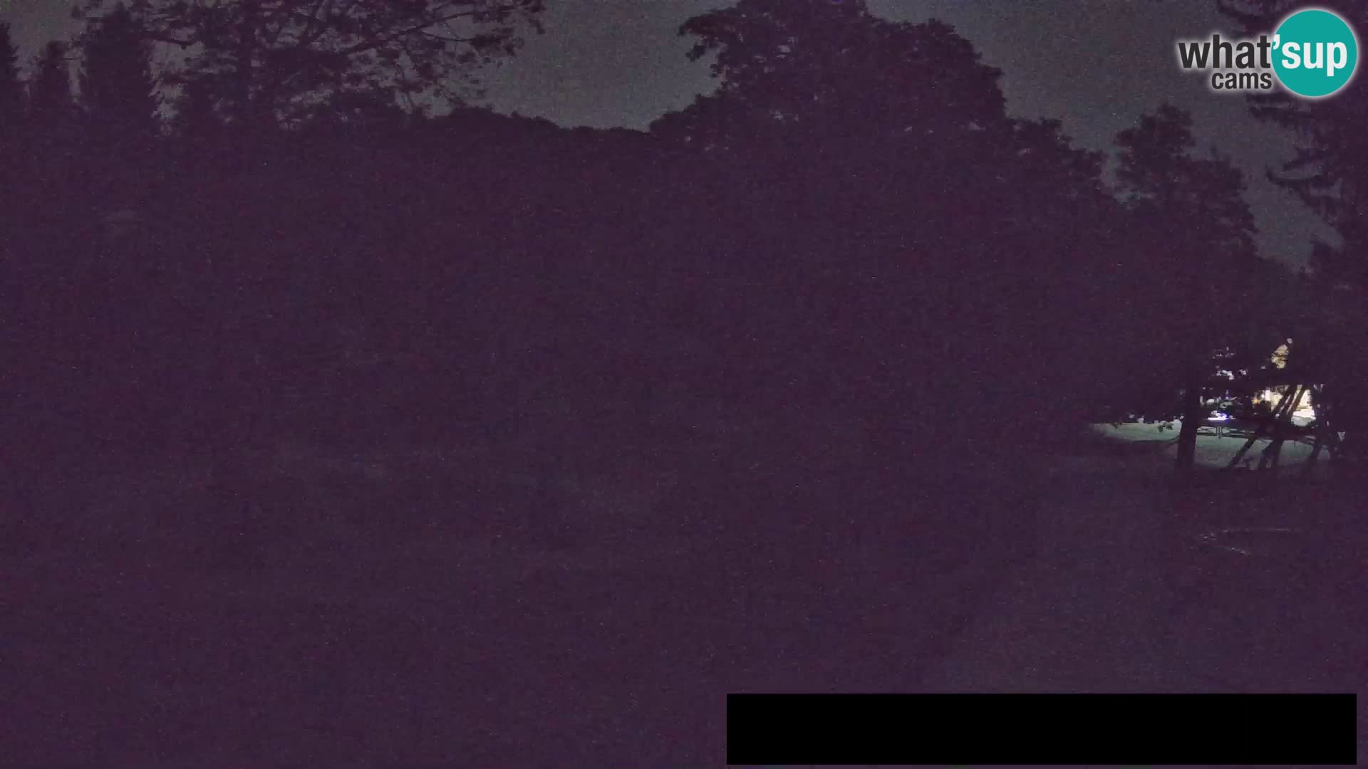 Webcam Zoo Ljubljana – Giraffes