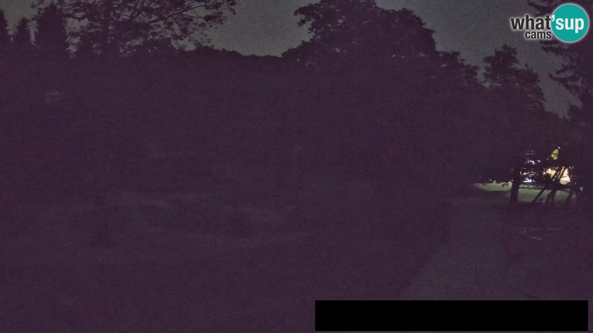 Webcam Zoo Ljubljana – Giraffes
