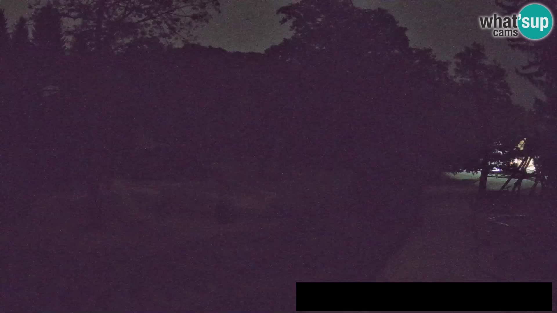 Webcam Zoo Ljubljana – Giraffes