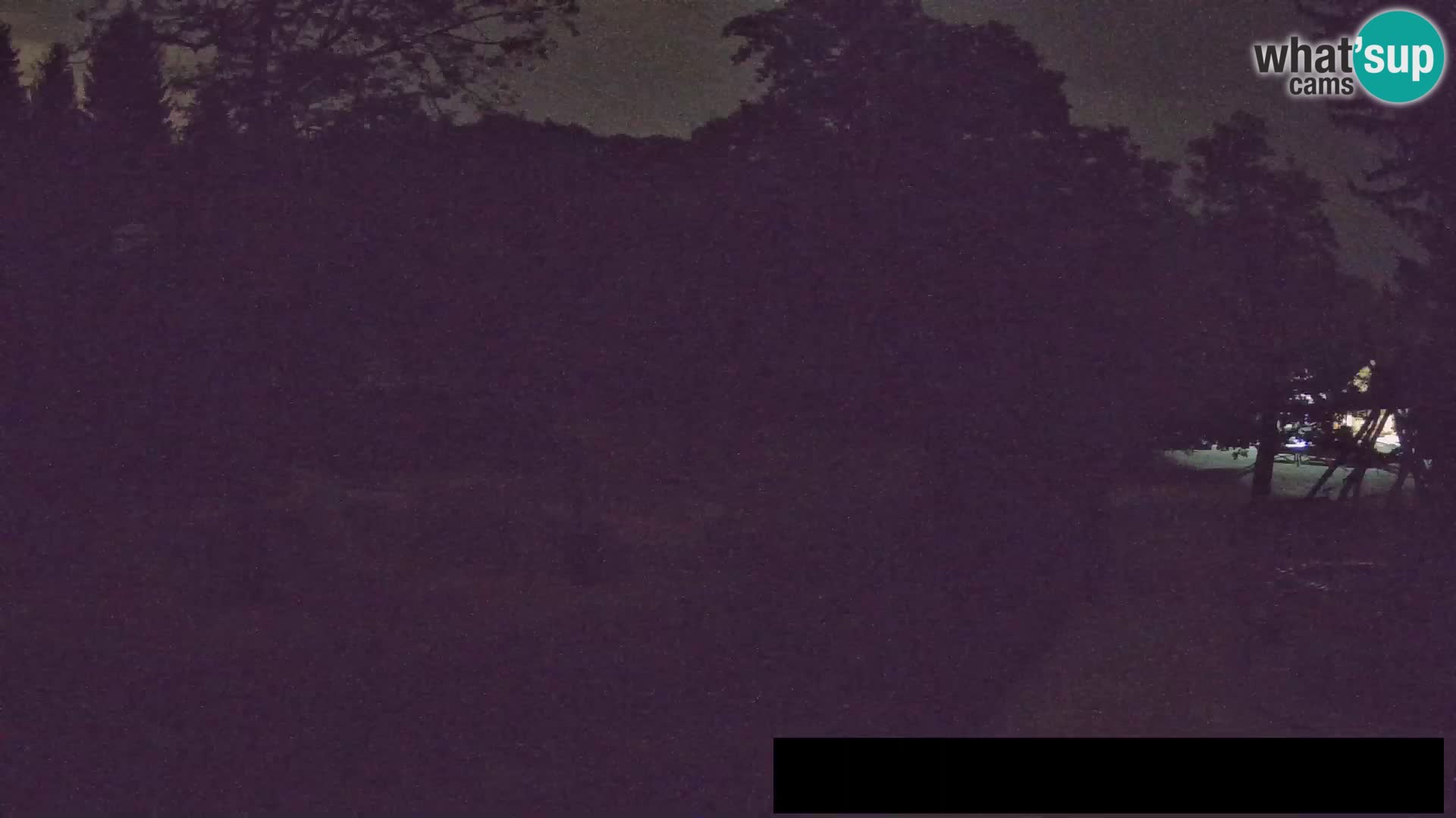 Webcam Zoo Ljubljana – Jirafas