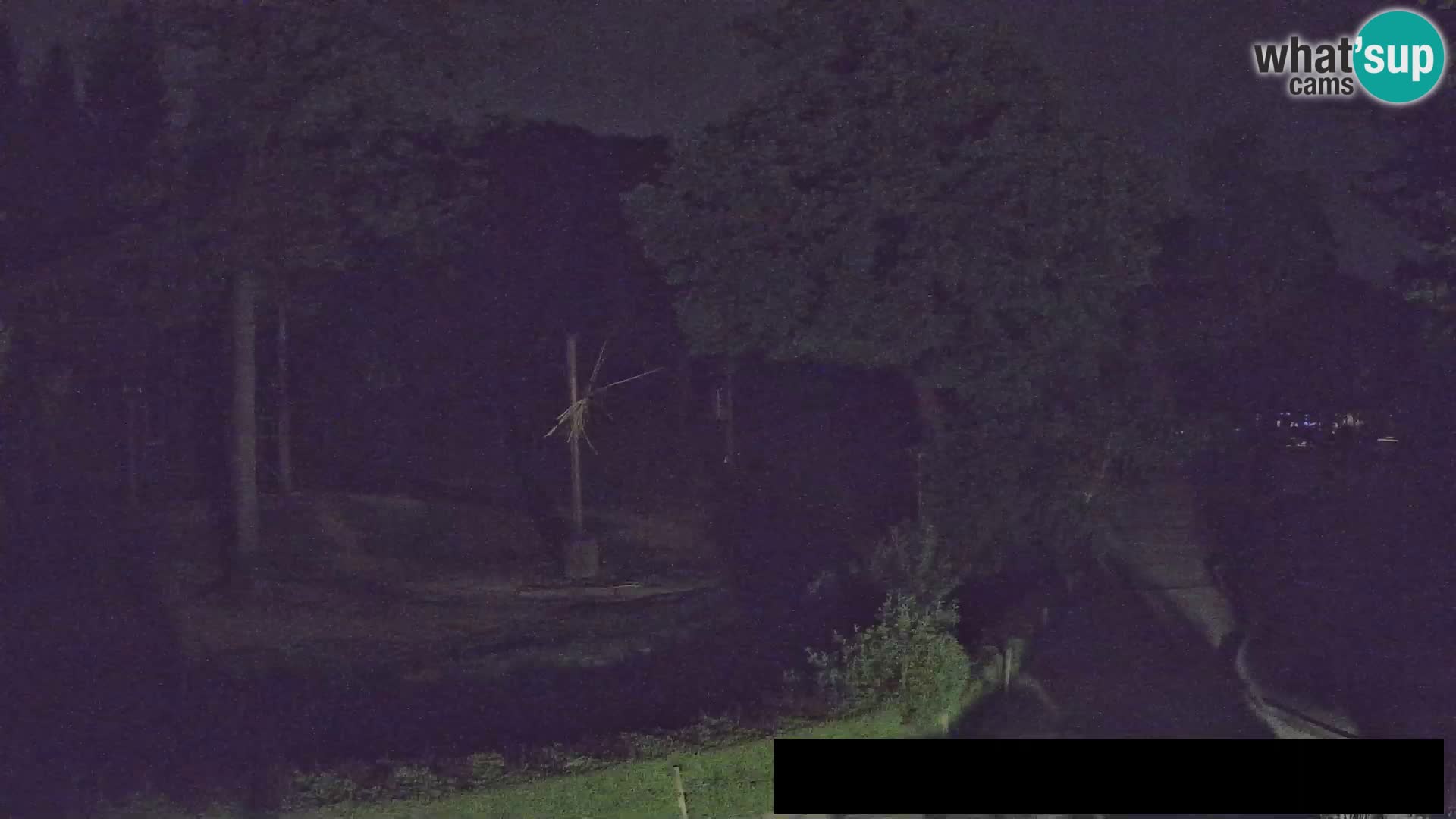 Web kamera Zoo Ljubljana – Žirafe