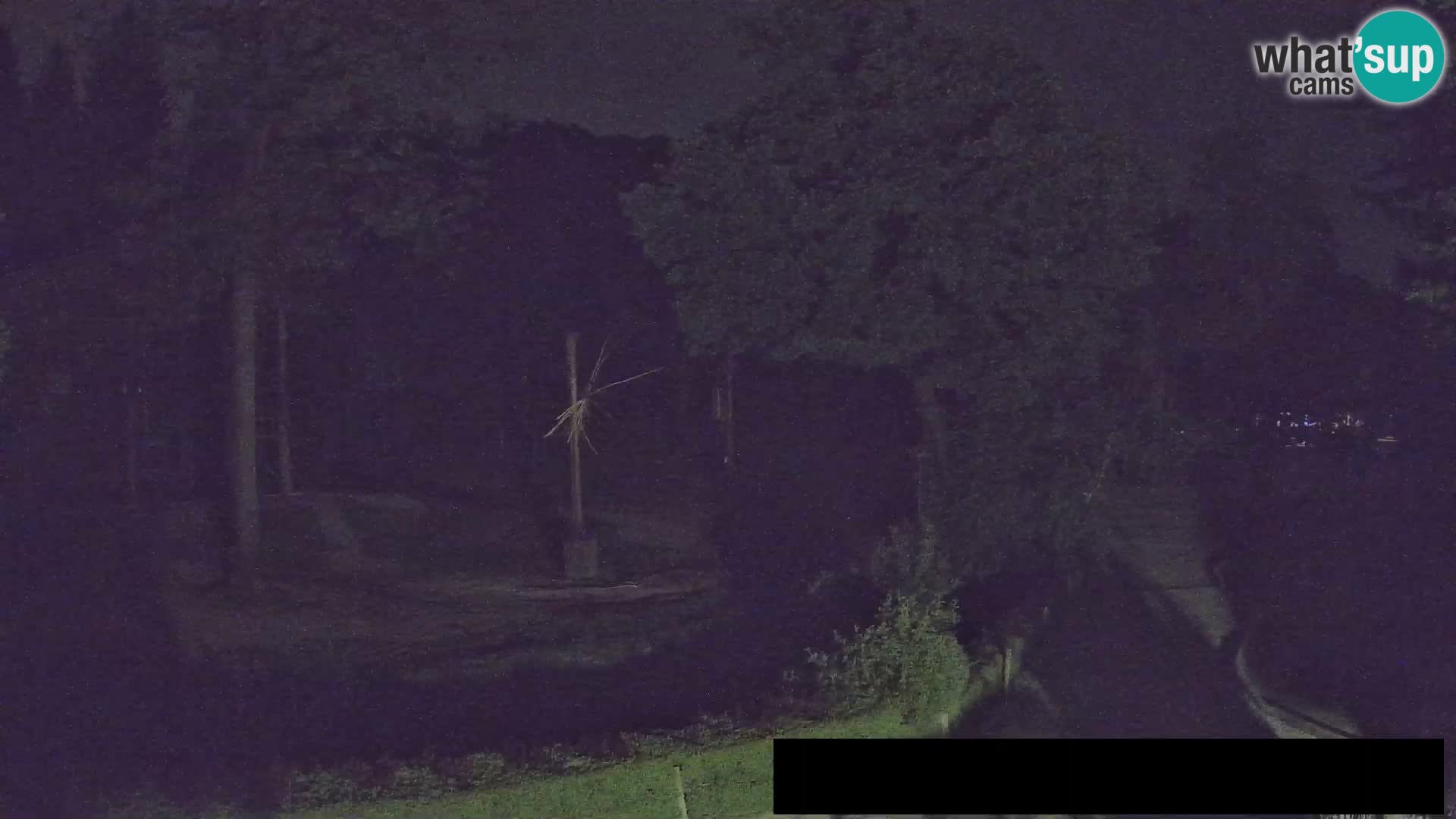 Webcam Zoo Ljubljana – Giraffes