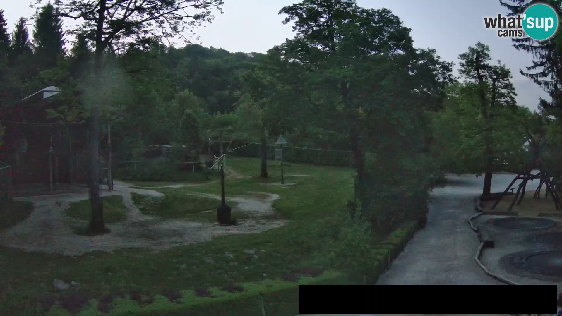 Webcam Zoo Ljubljana – Giraffen
