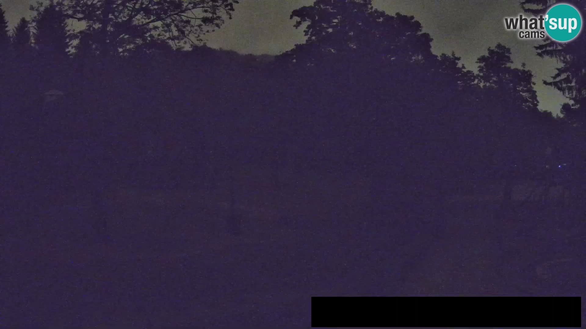 Webcam Zoo Ljubljana – Jirafas