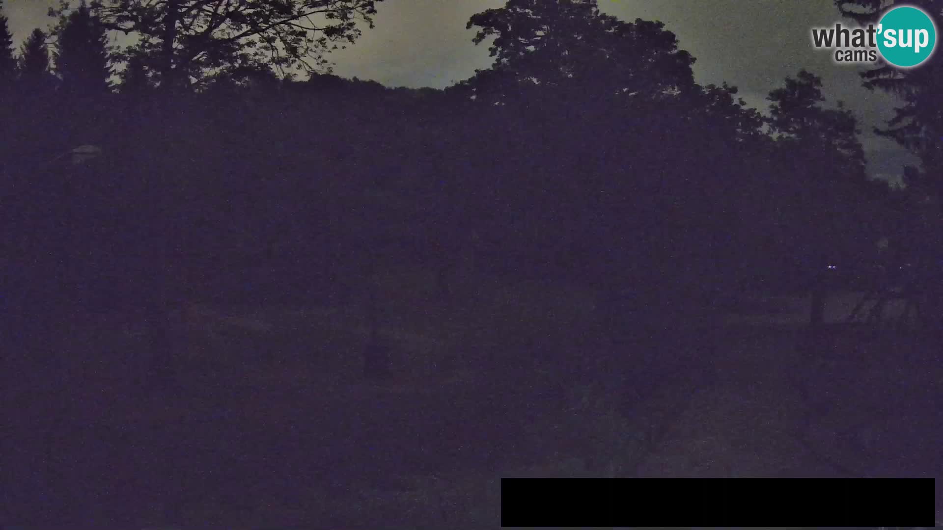 Webcam live Zoo Lubiana – Giraffe